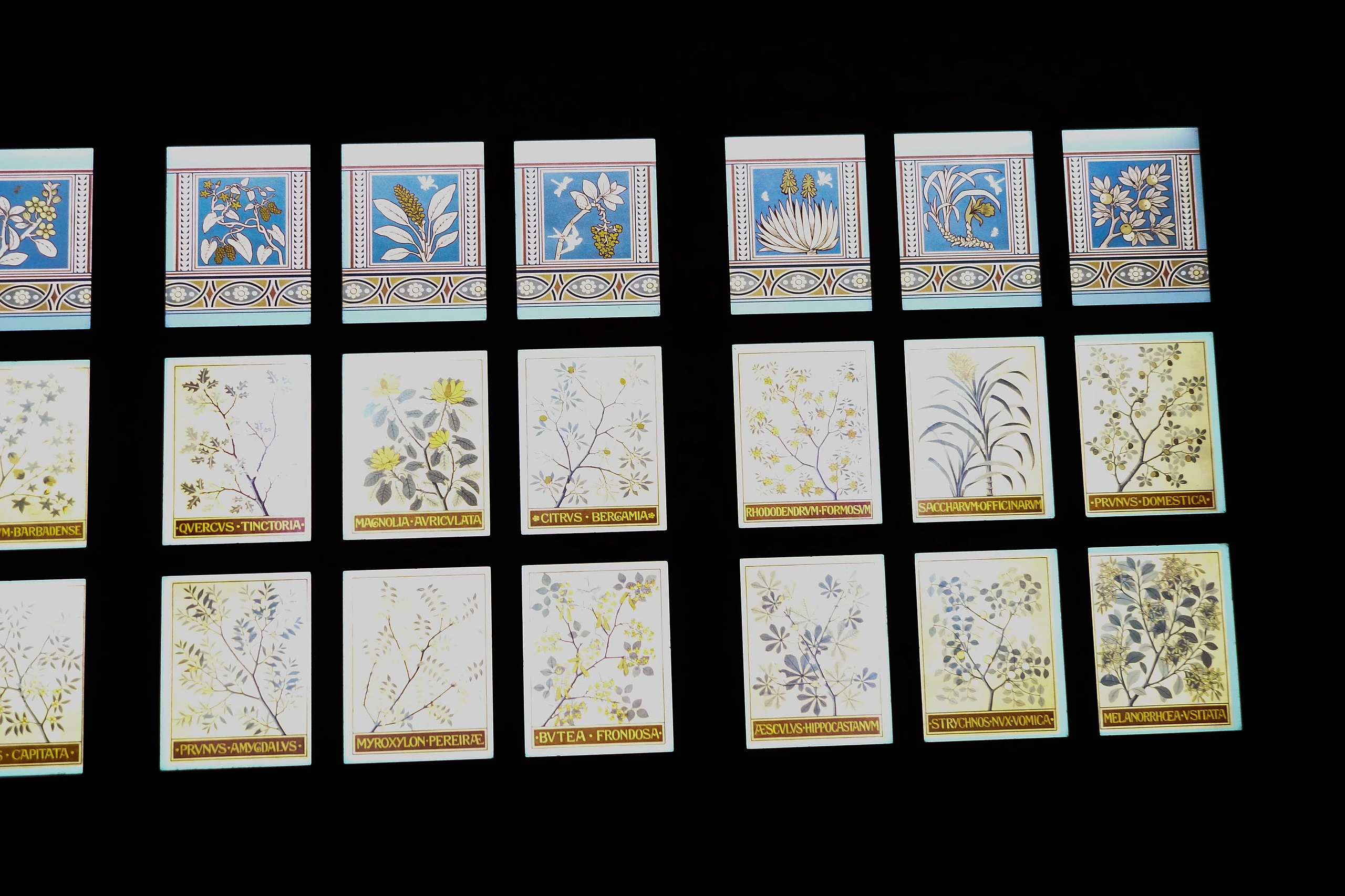 Flowery stained glass