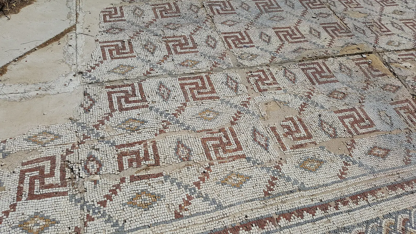 Wlm - Ovedc - Pekiin - Elef Milim