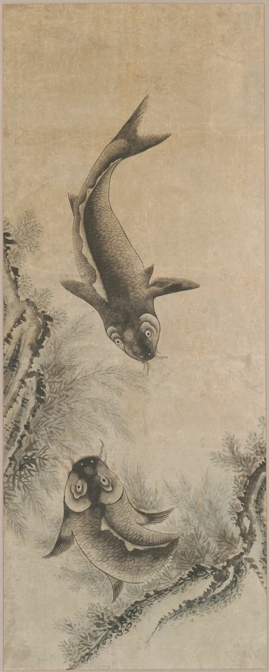 A Pair of Carp