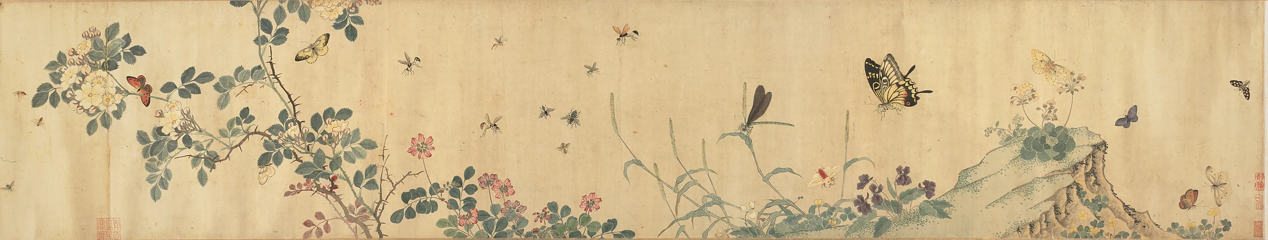 Flowers and Insects