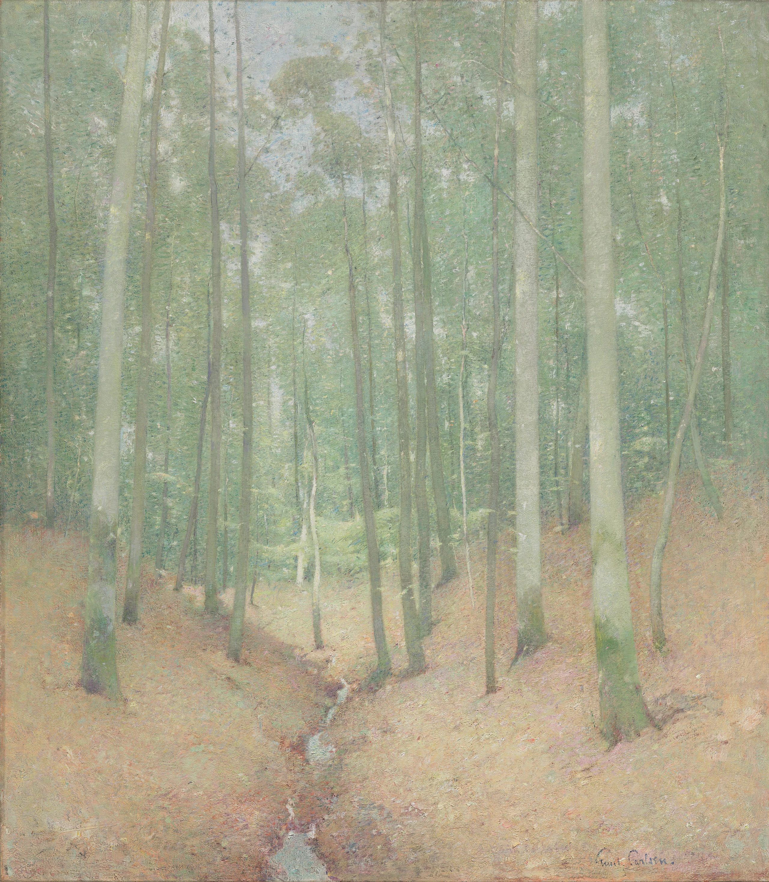 Wood Interior