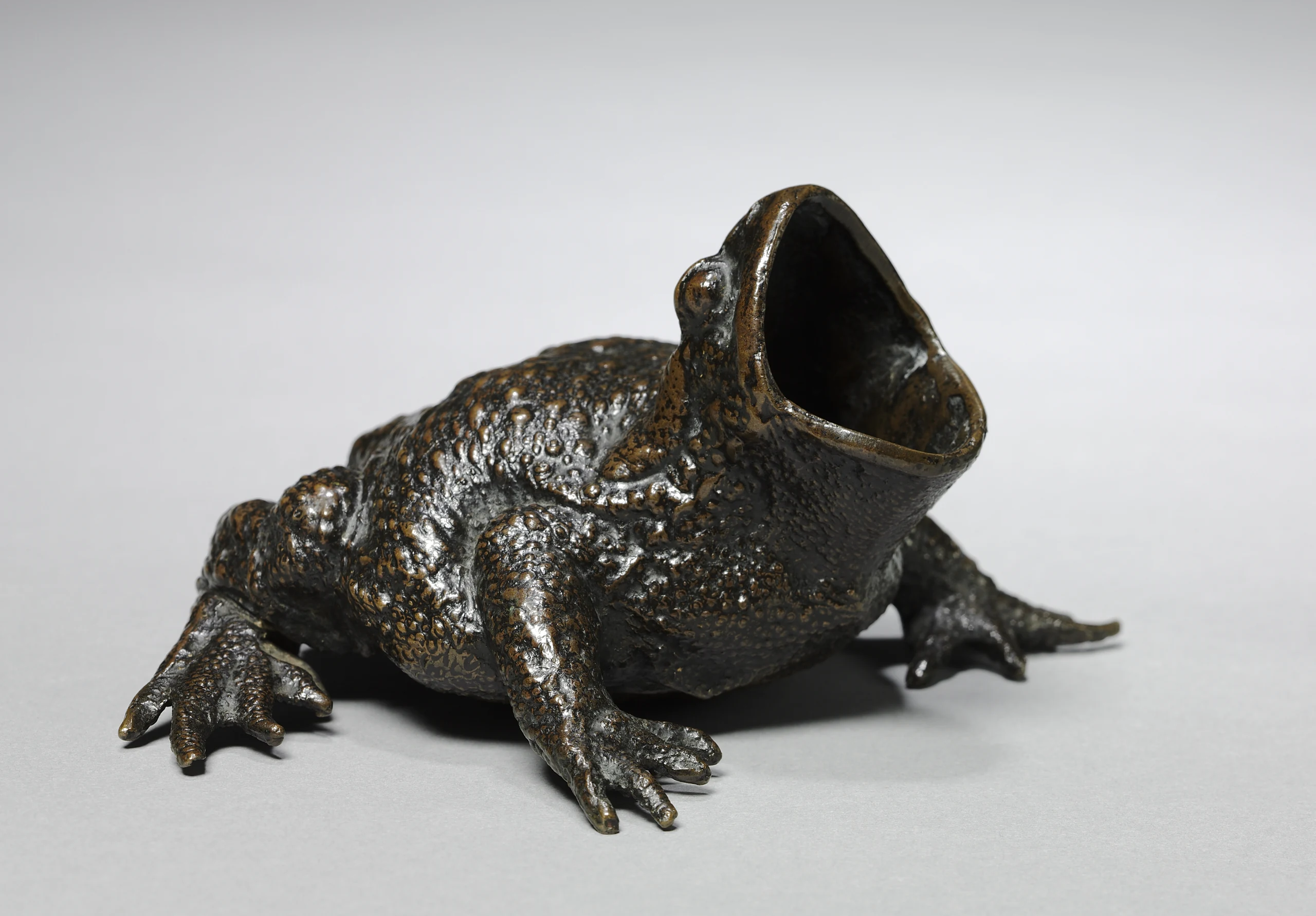 Toad
