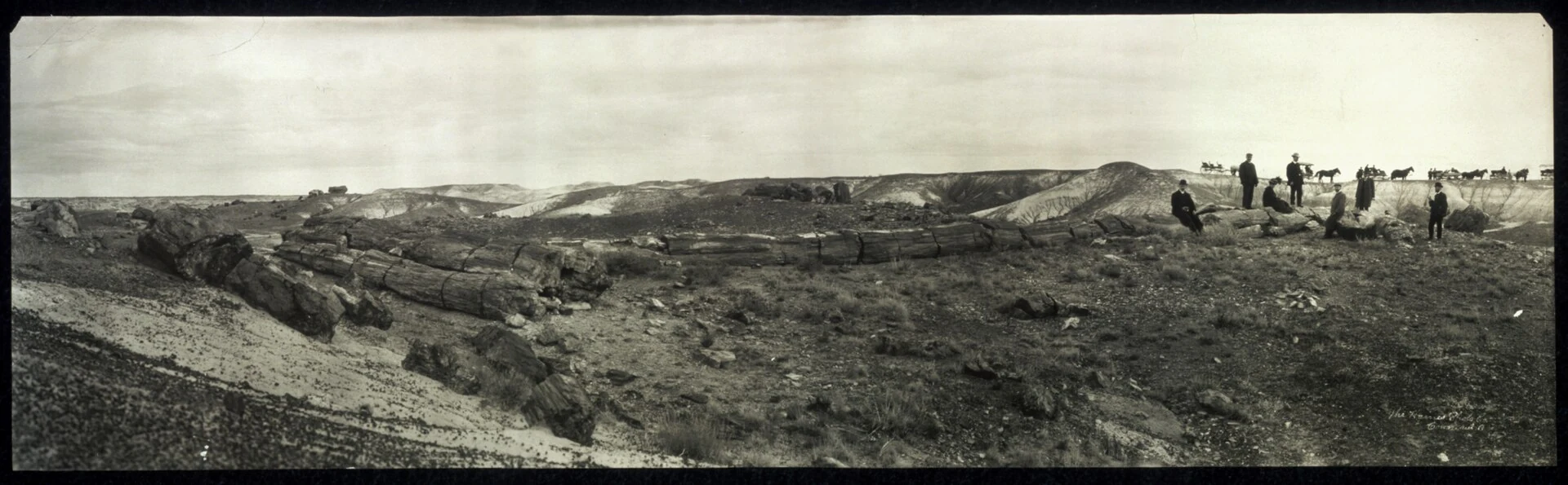 Petrified Forest of Arizona