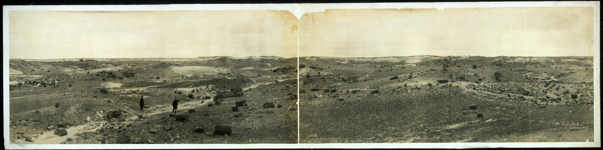 Petrified Forest