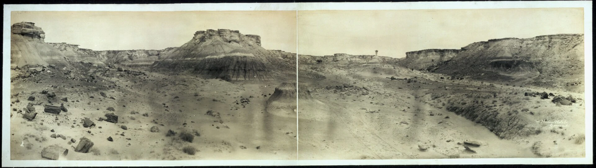 Petrified Forest of Arizona
