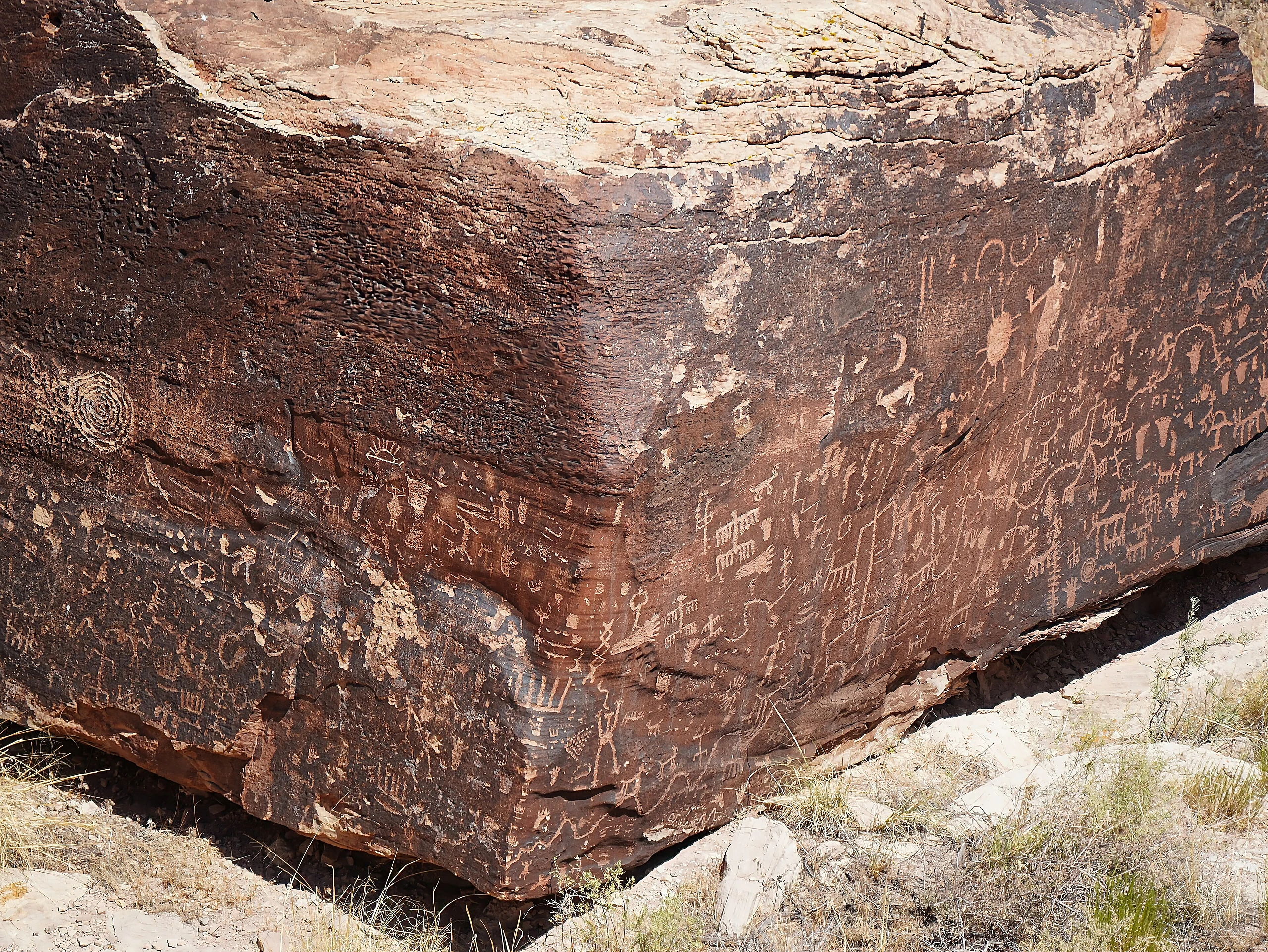 Petrified Forest National Park