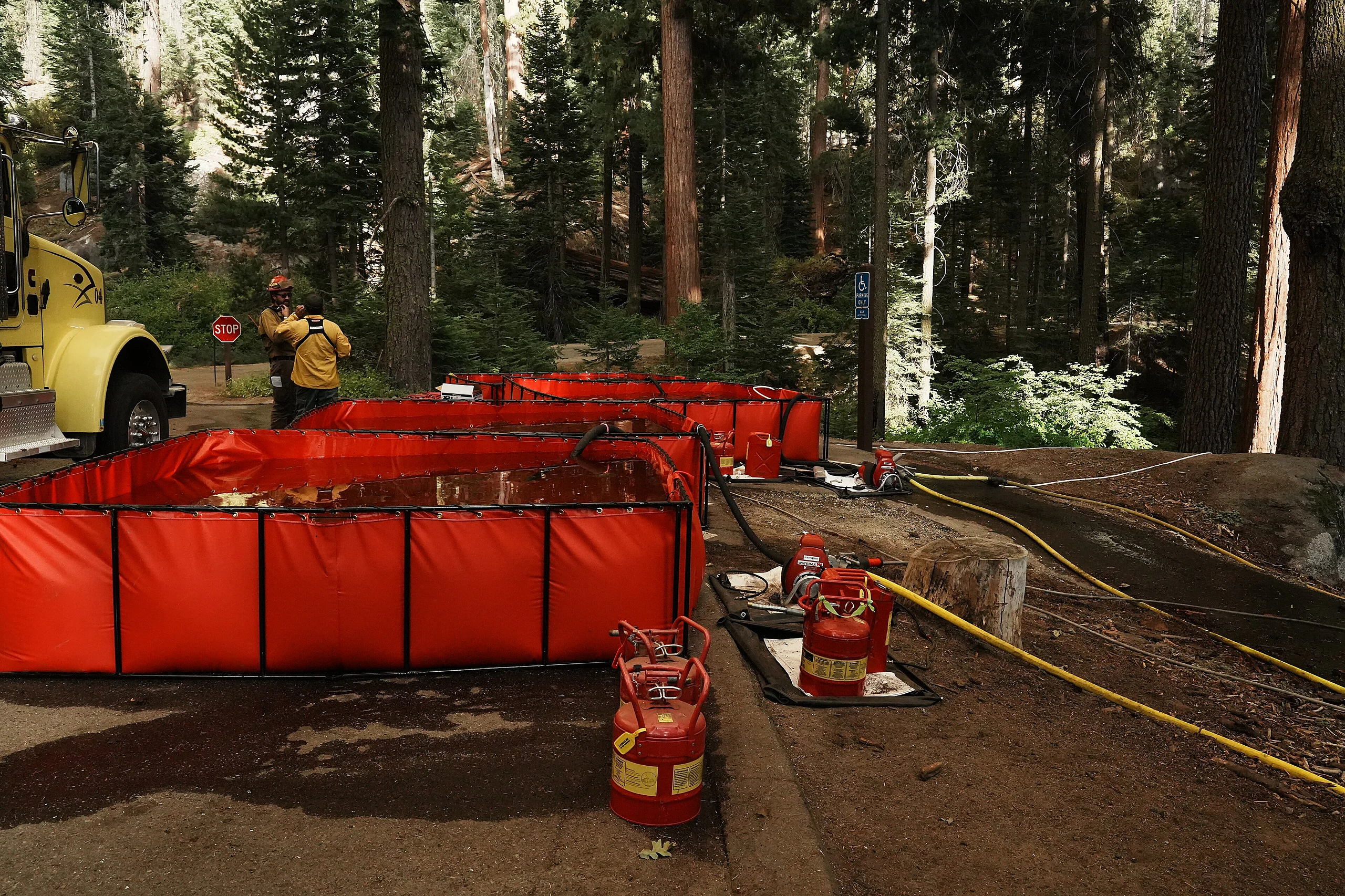 FS Sierra GarnetFire SW