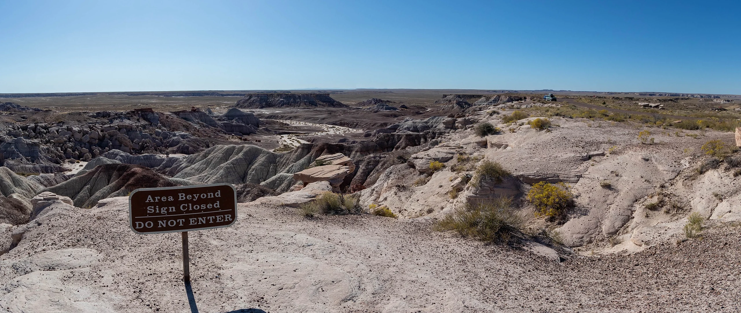 Petrified Forest National Park