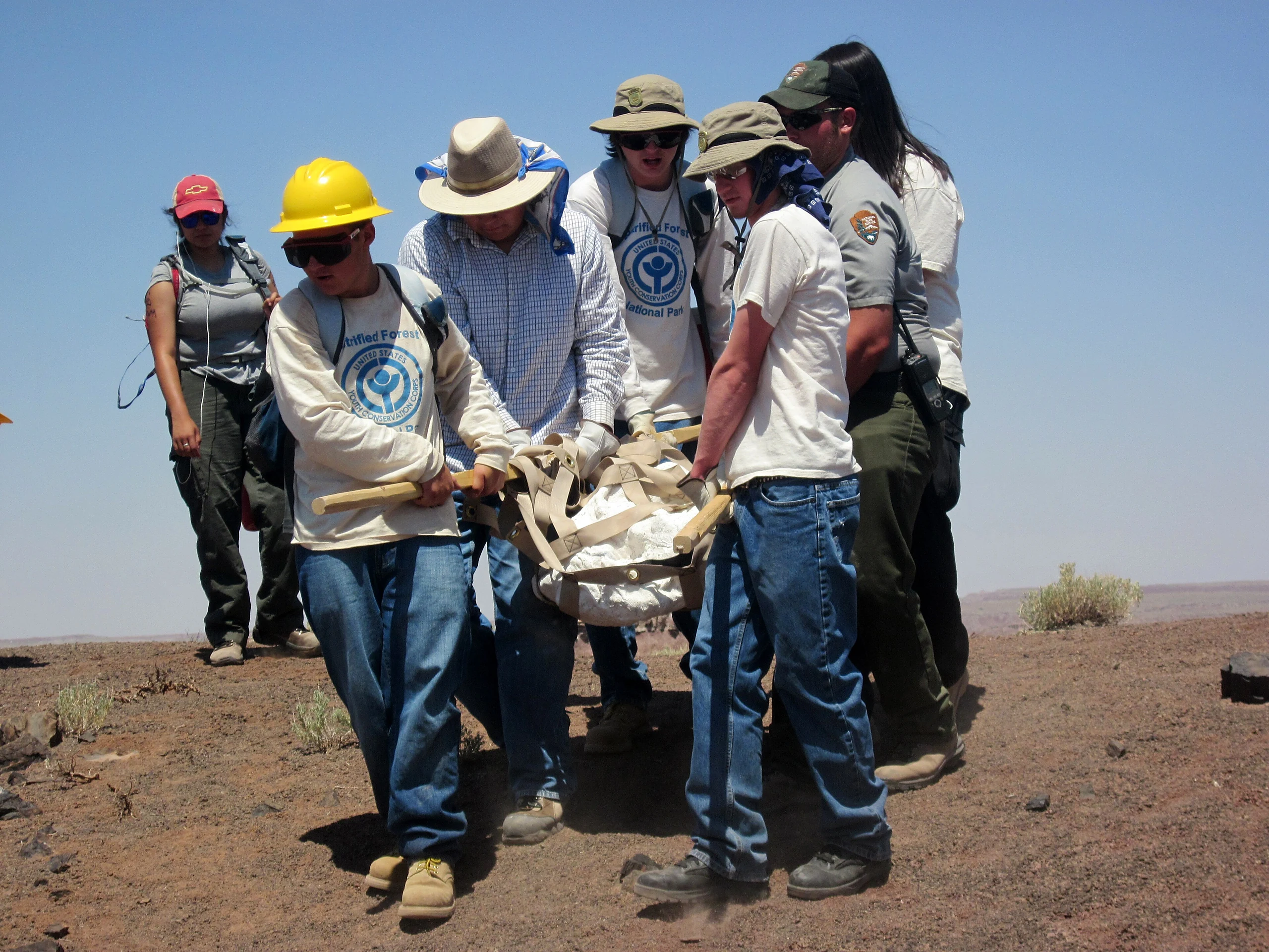 File-Group of people carrying a large white jacketed fossil in webbing under a blue sky.-br - (03dbada1-140d-45ac-add6-1