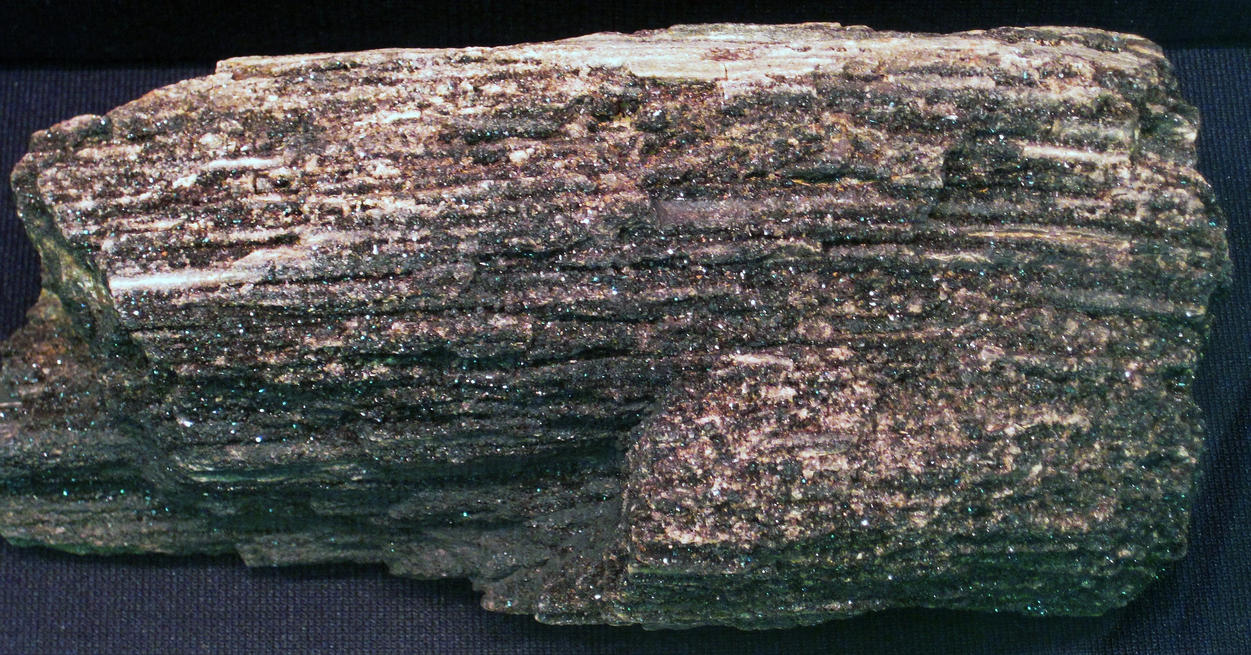 Fossil wood (Pennsylvanian; tributary of Shade Creek, Athens County, Ohio, USA)