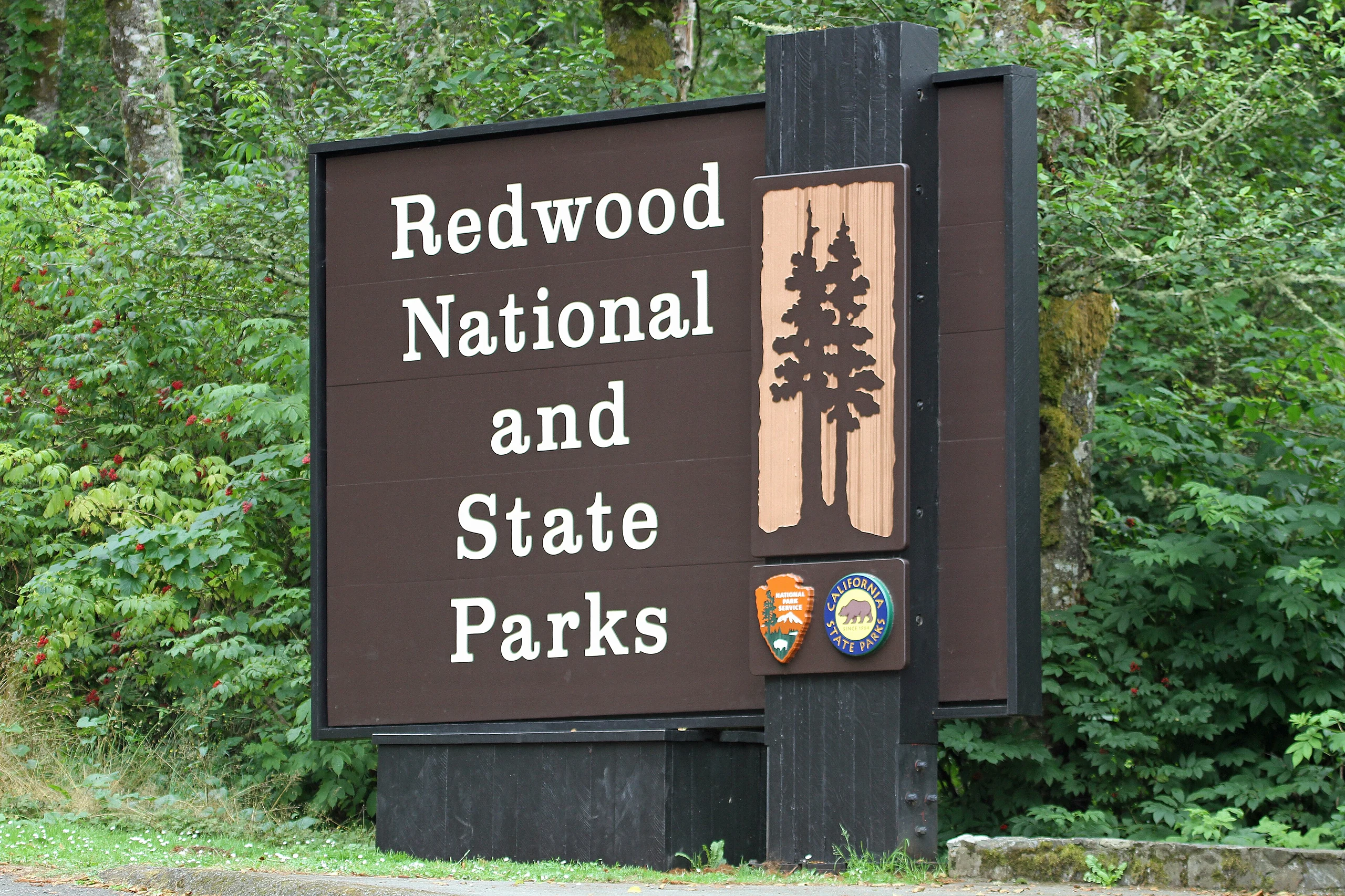Redwood National and State Parks