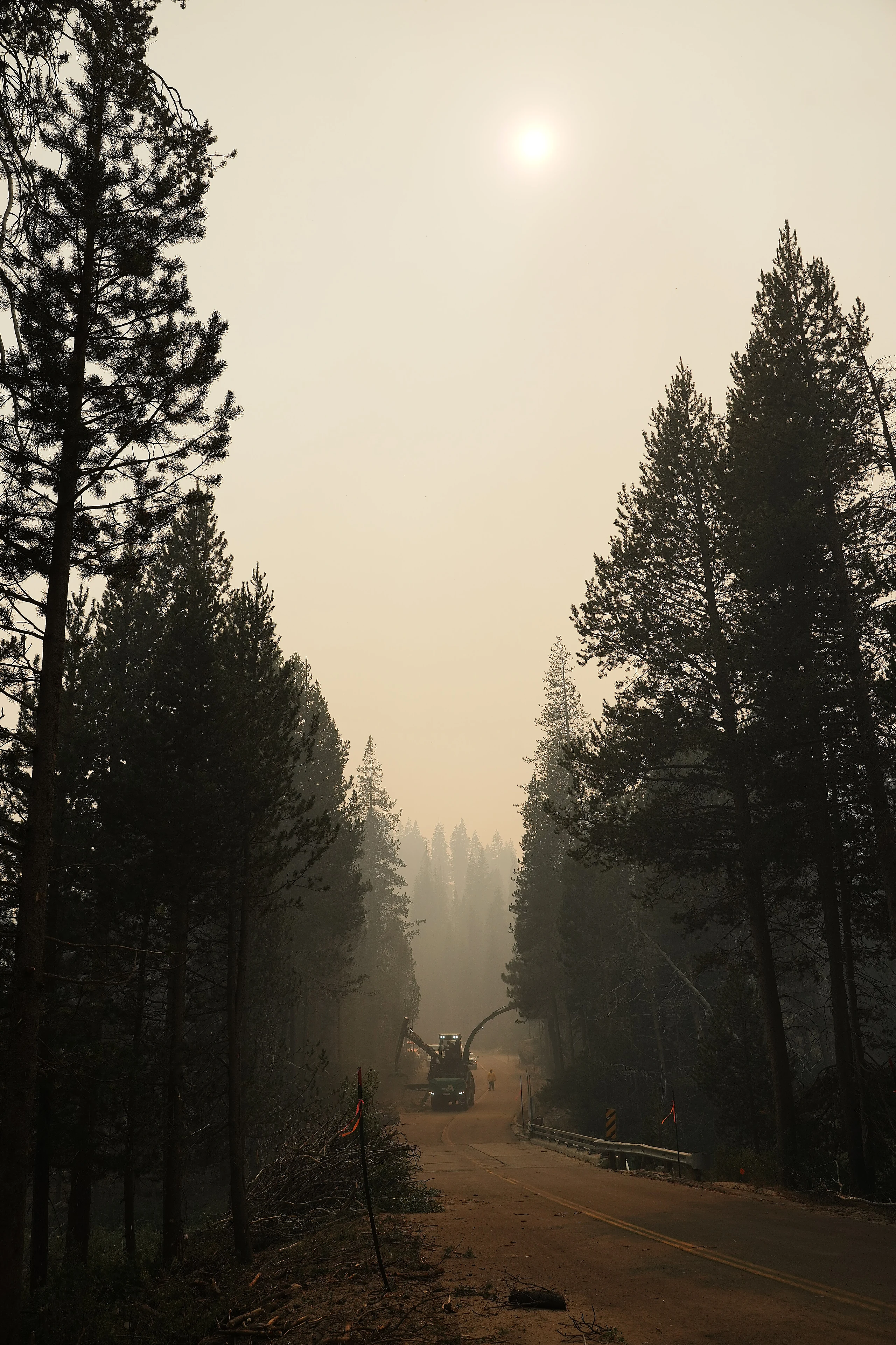 FS Sierra GarnetFire SW