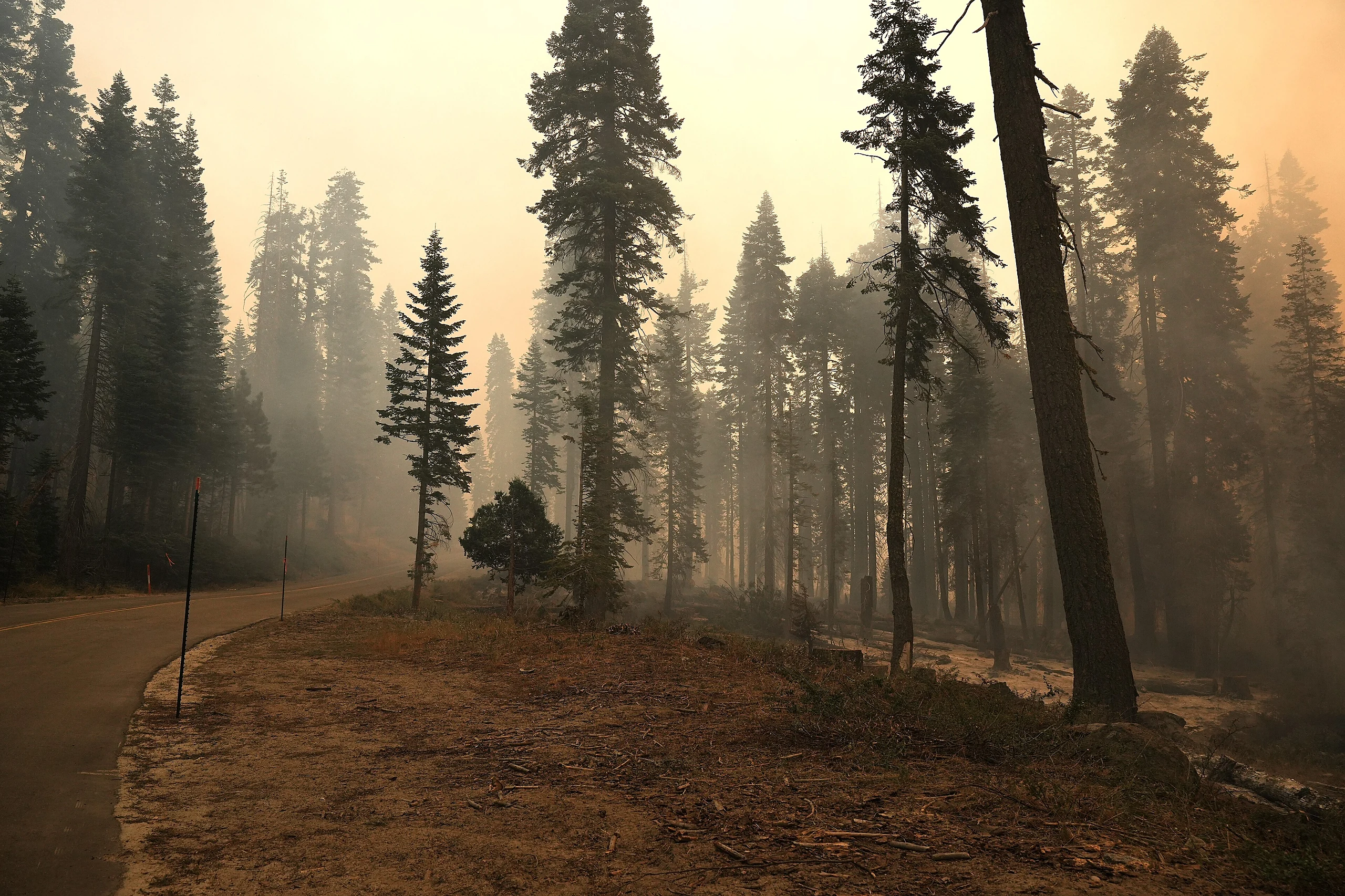 FS Sierra GarnetFire SW