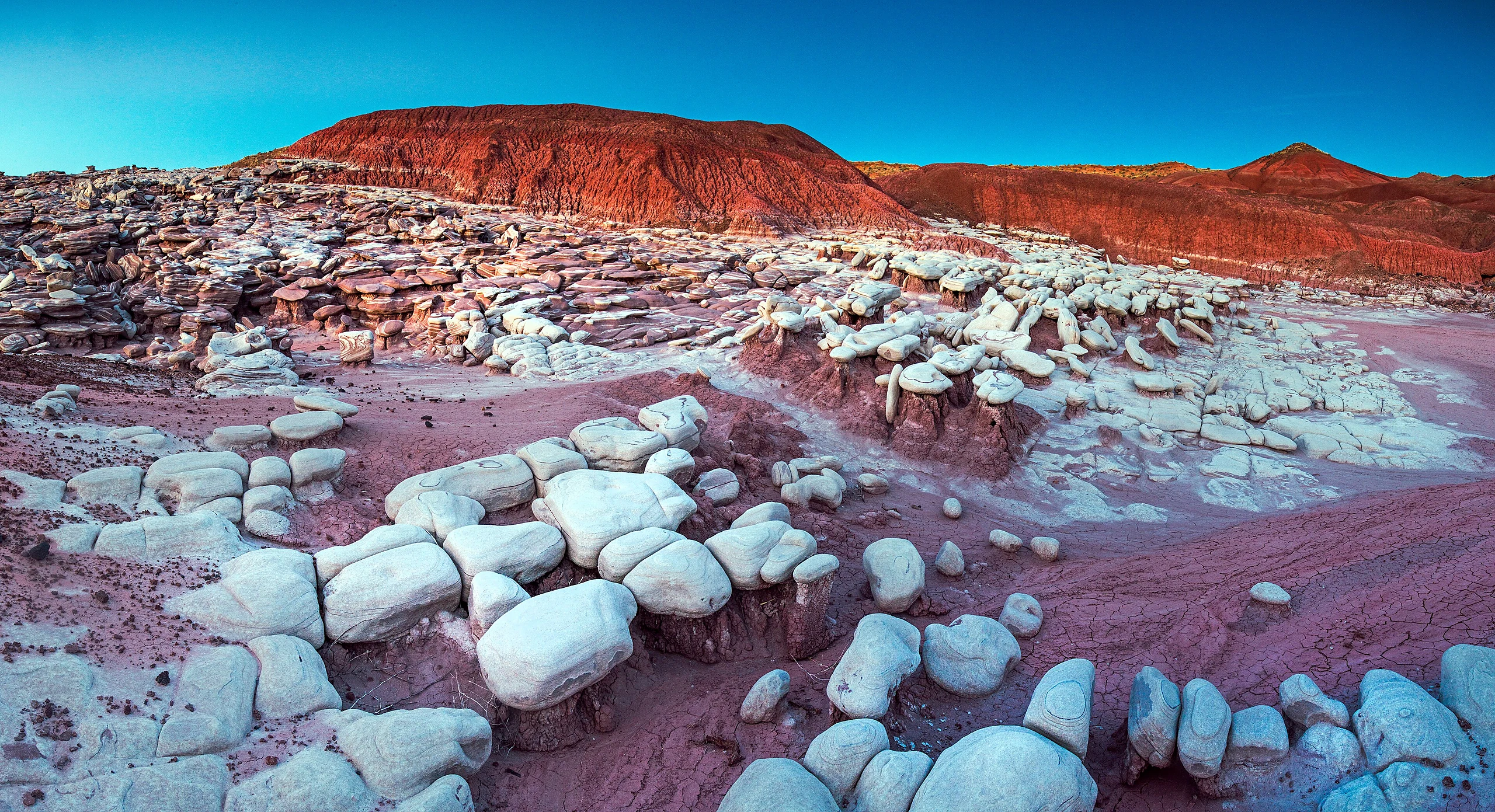 Sandstone formations in the expansion lands- Petrified Forest National Park