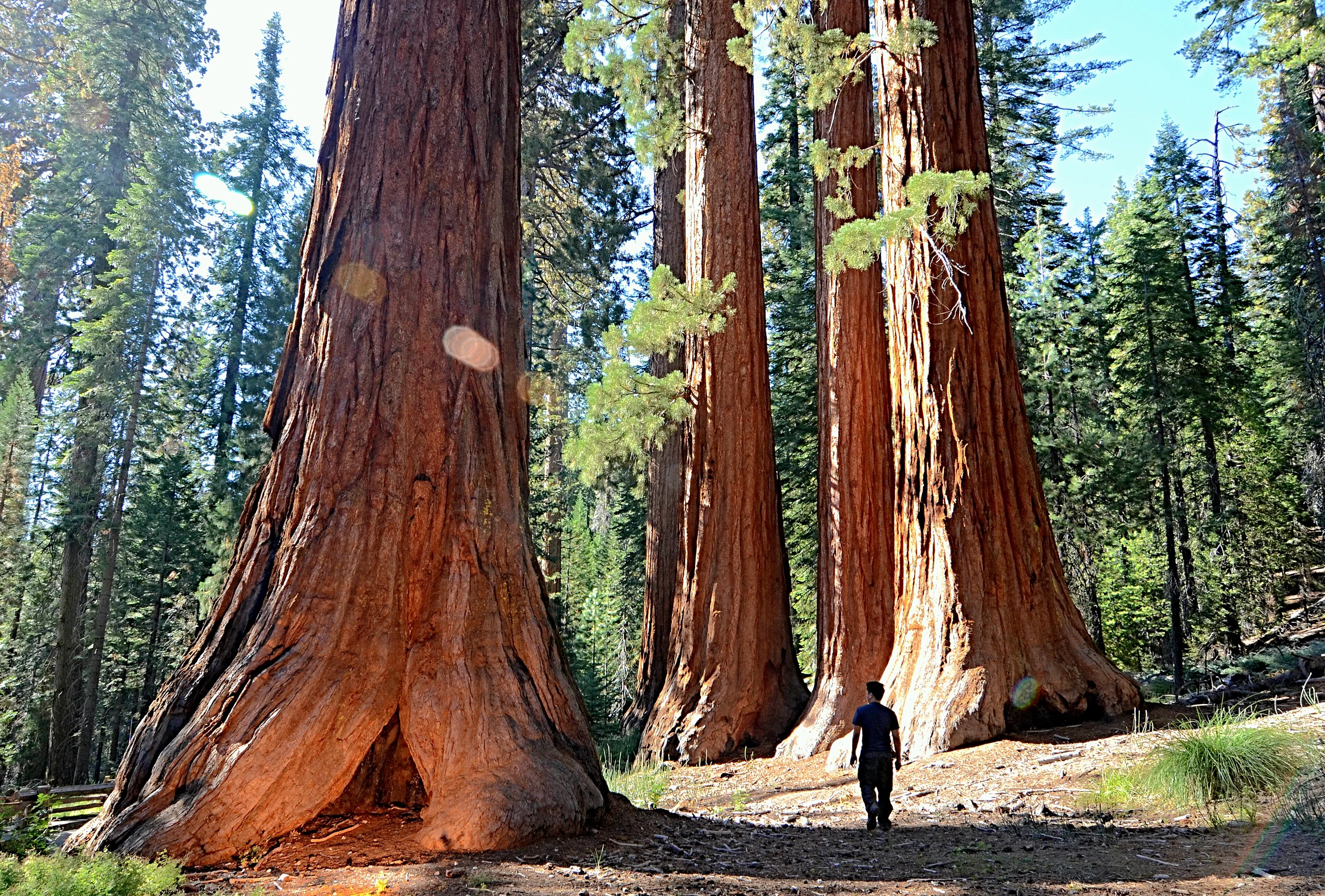 In the Land of the Giants