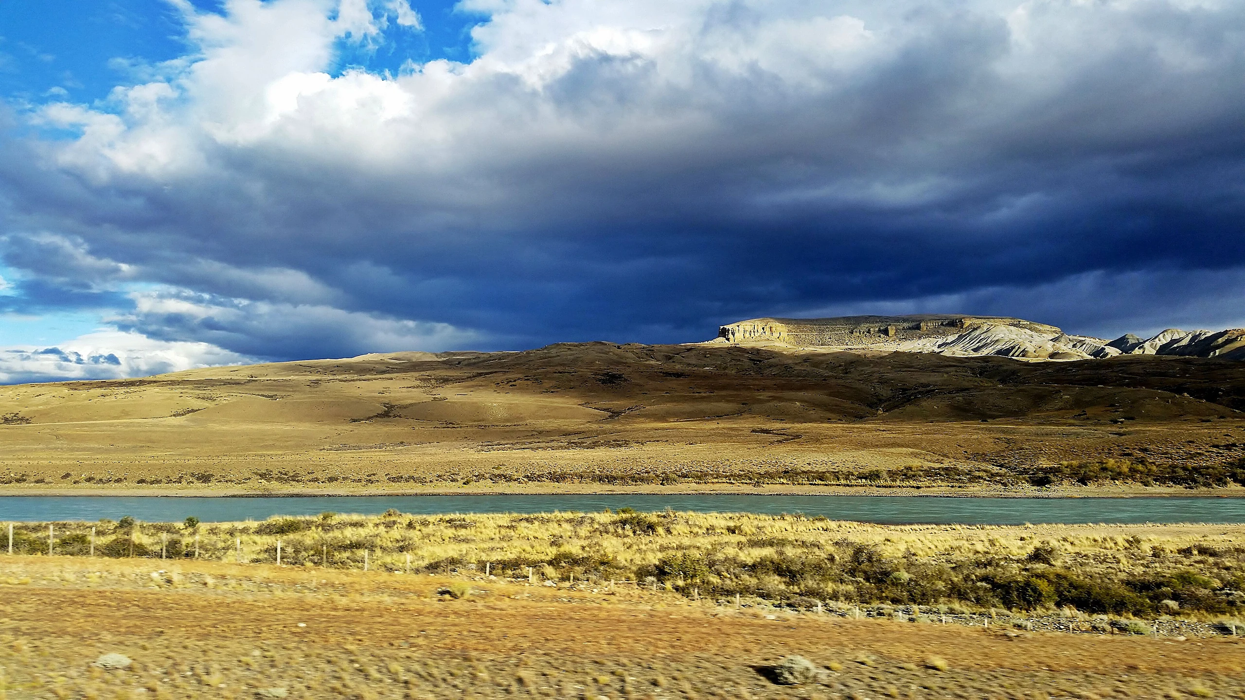 La Leona Petrified Forest