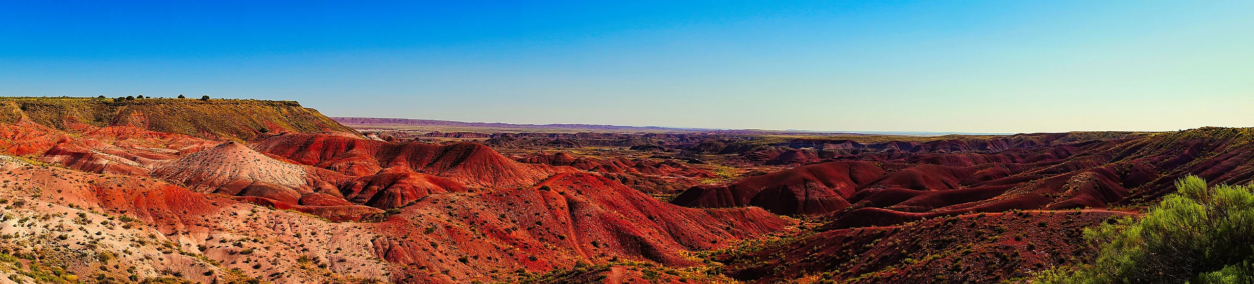 Petrified Forest National Park (2023)