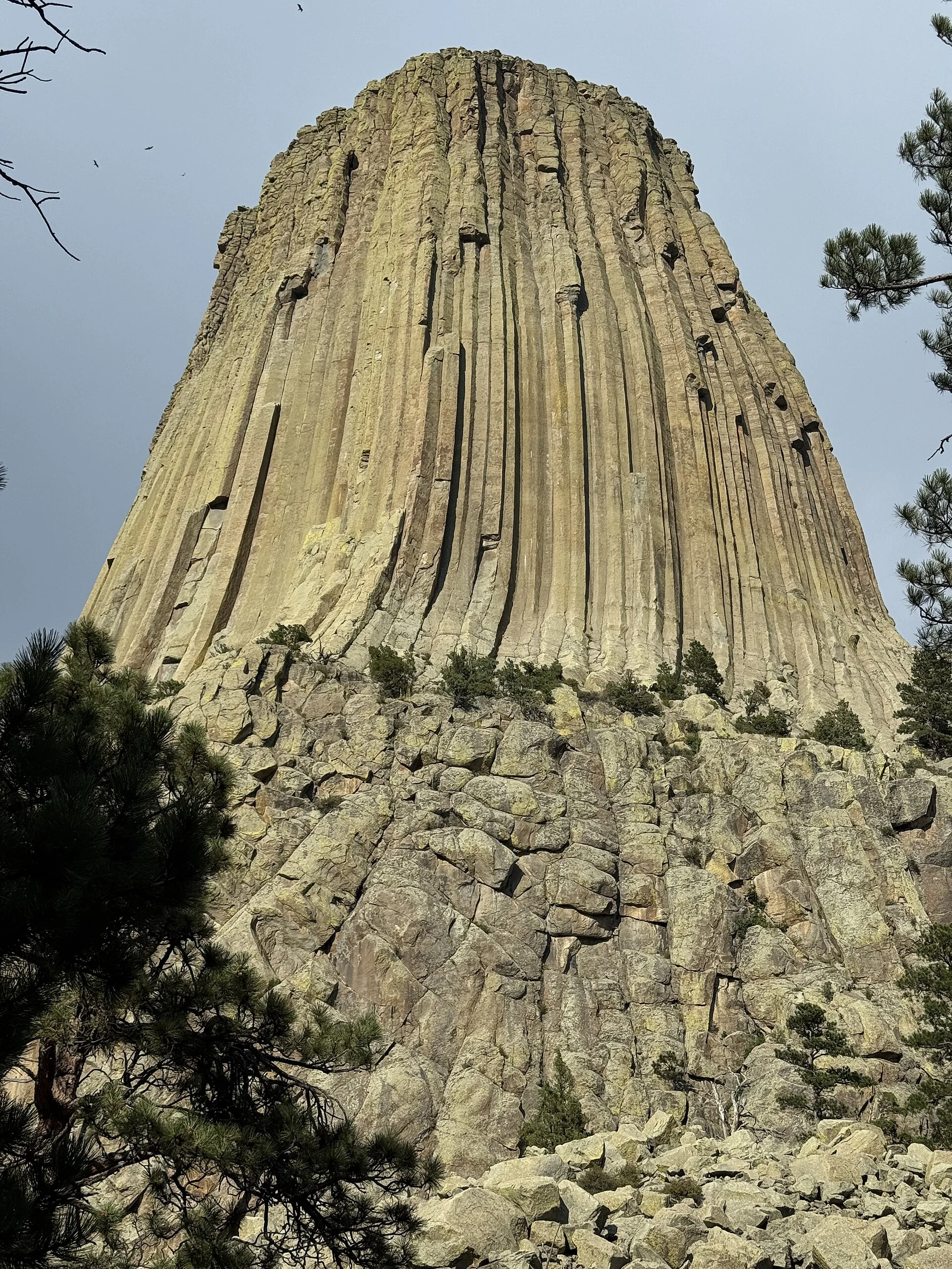 Devil's Tower National Monument 2025