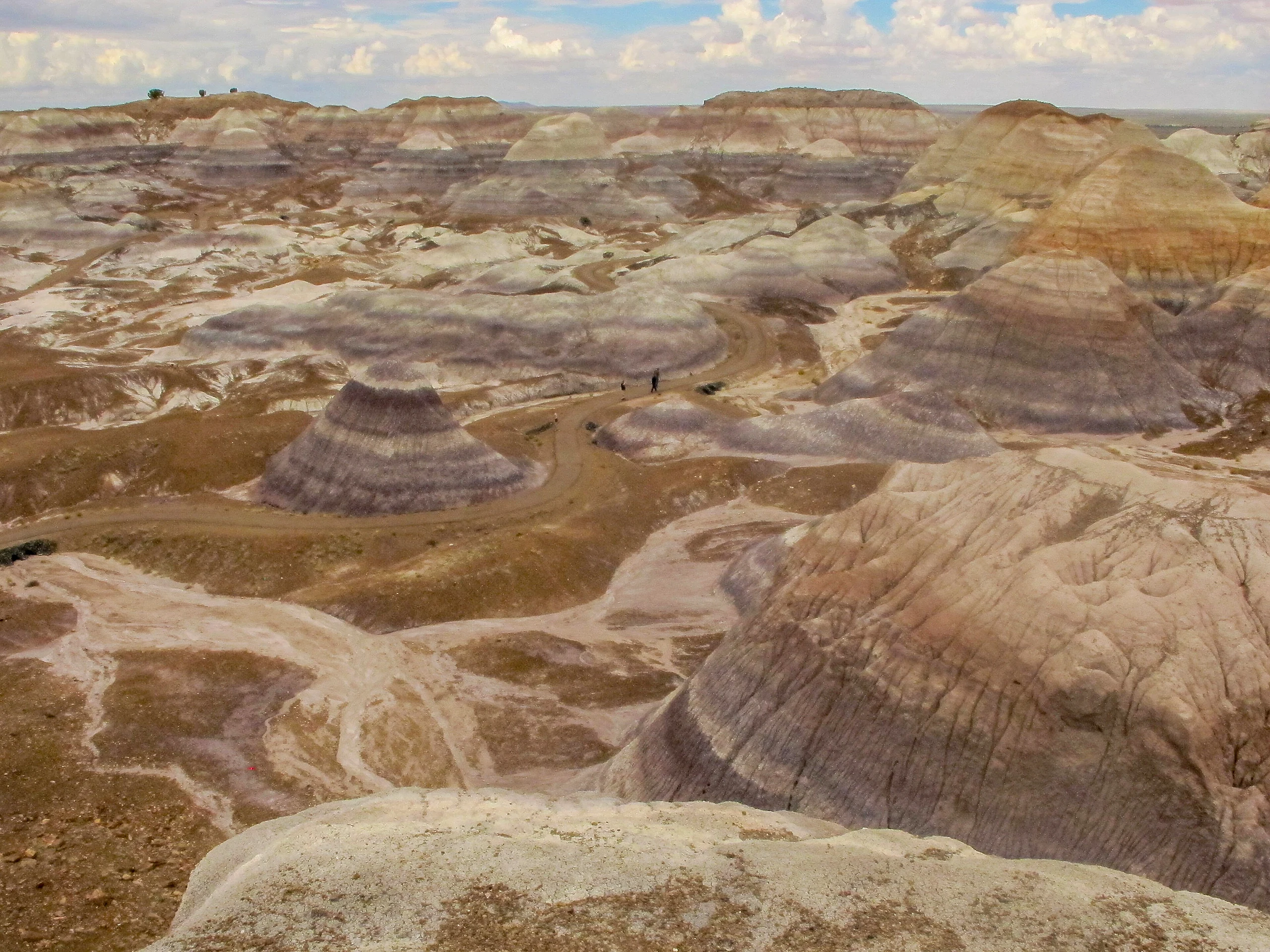 Petrified Forest National Park