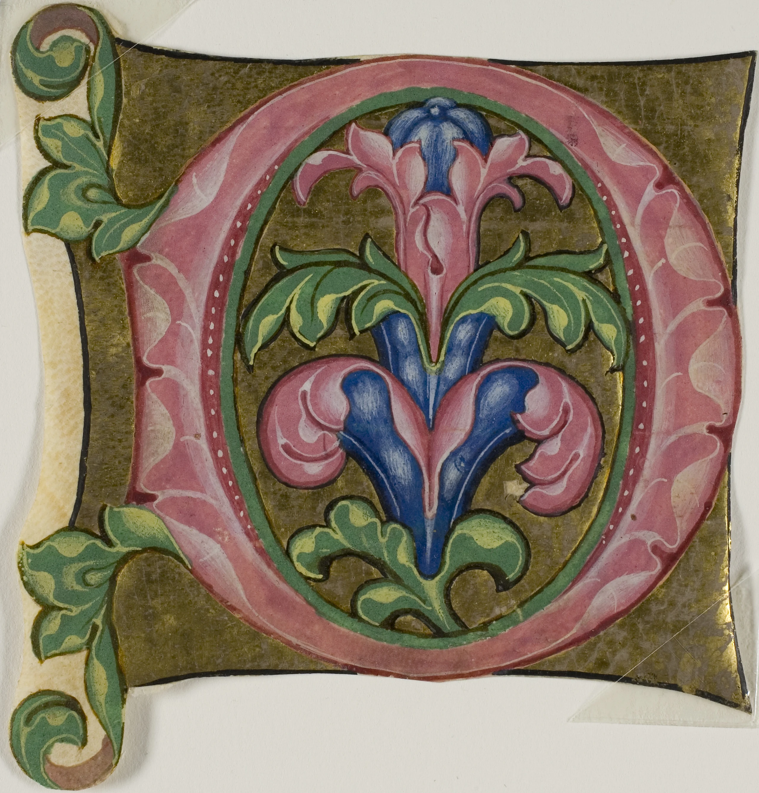 Decorated Initial "D" with Acanthus Leaves from a Choir Book