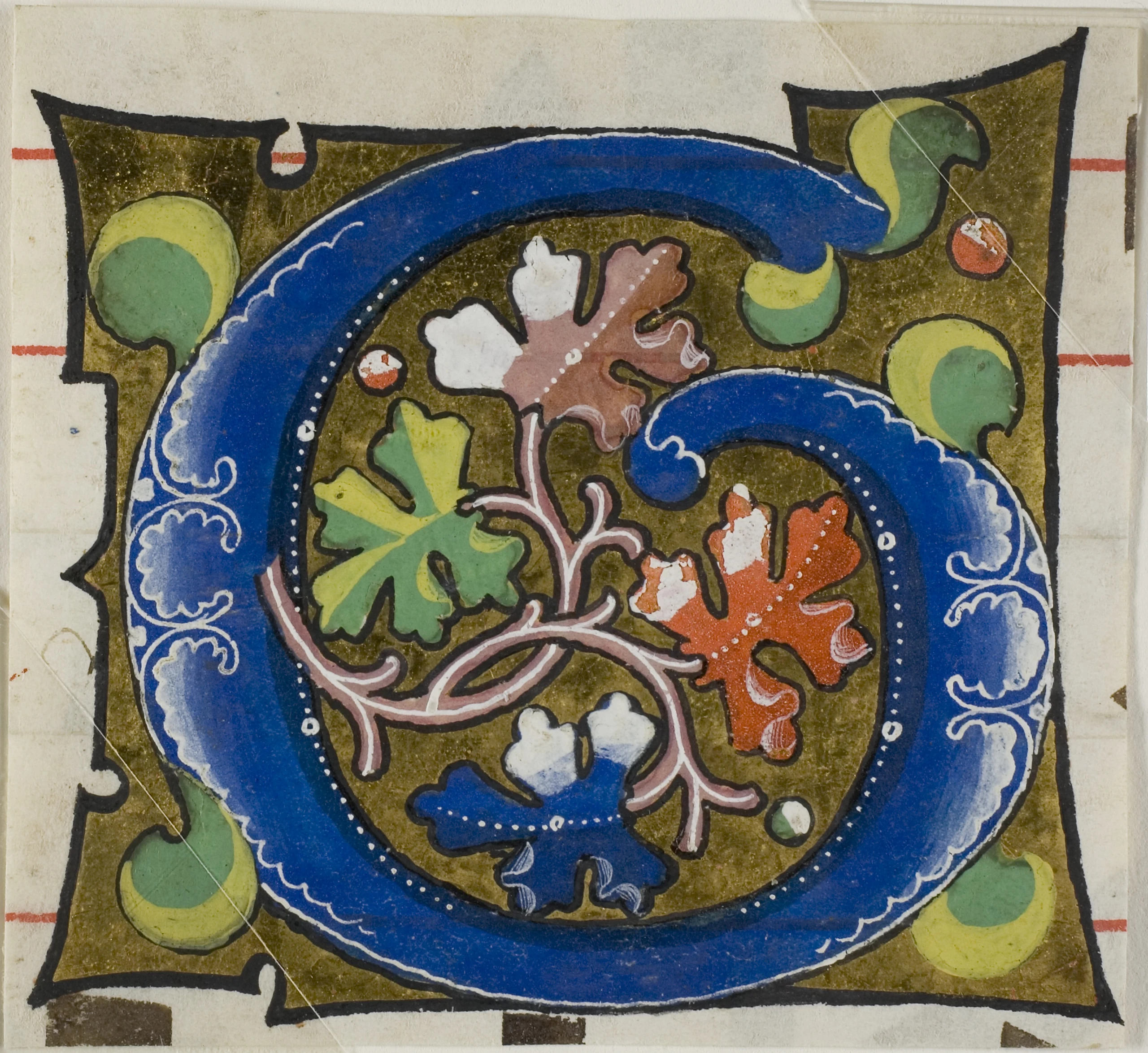 Decorated Initial "G" with Flowers from a Choir Book