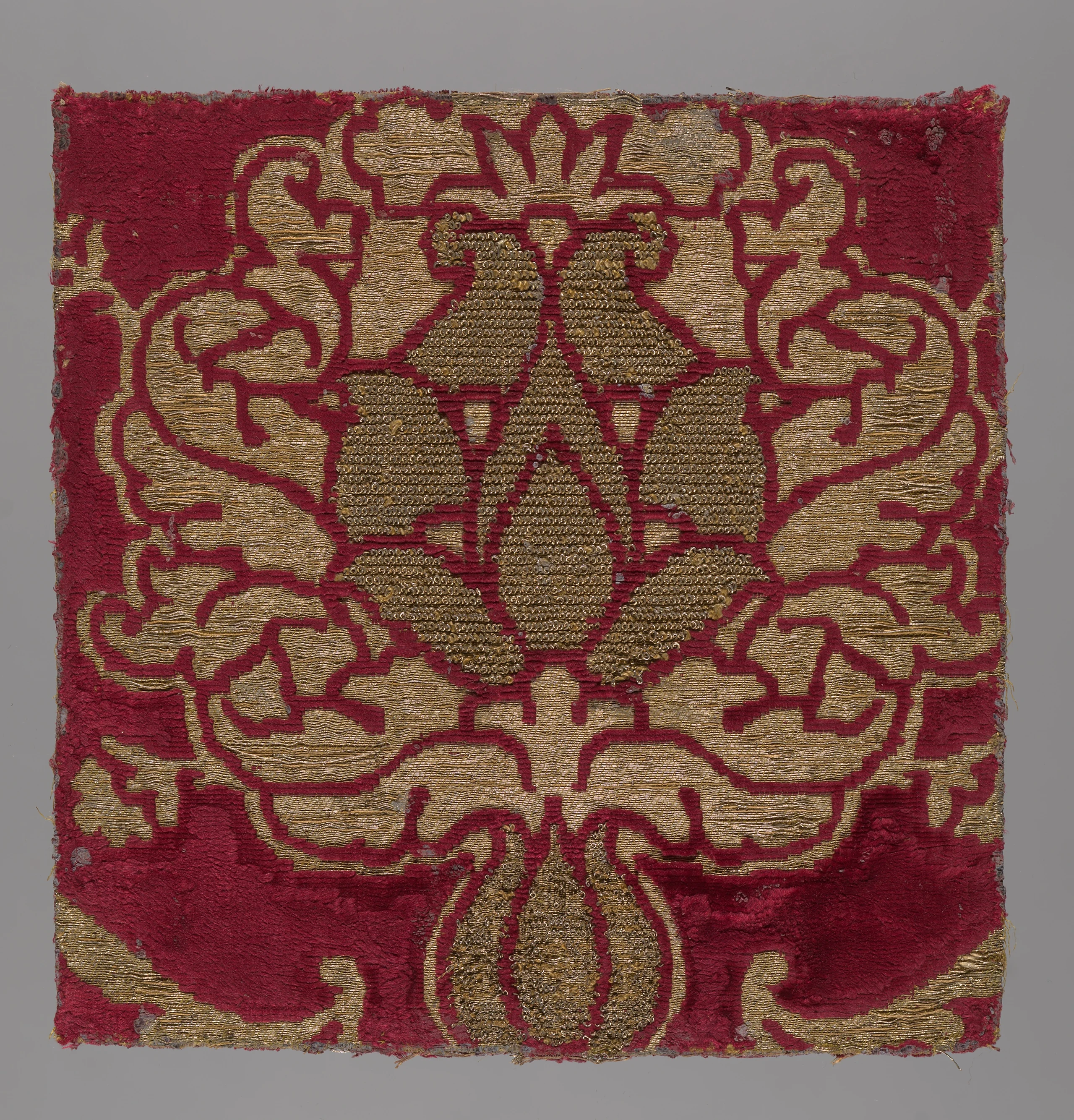 Fragment of Velvet
