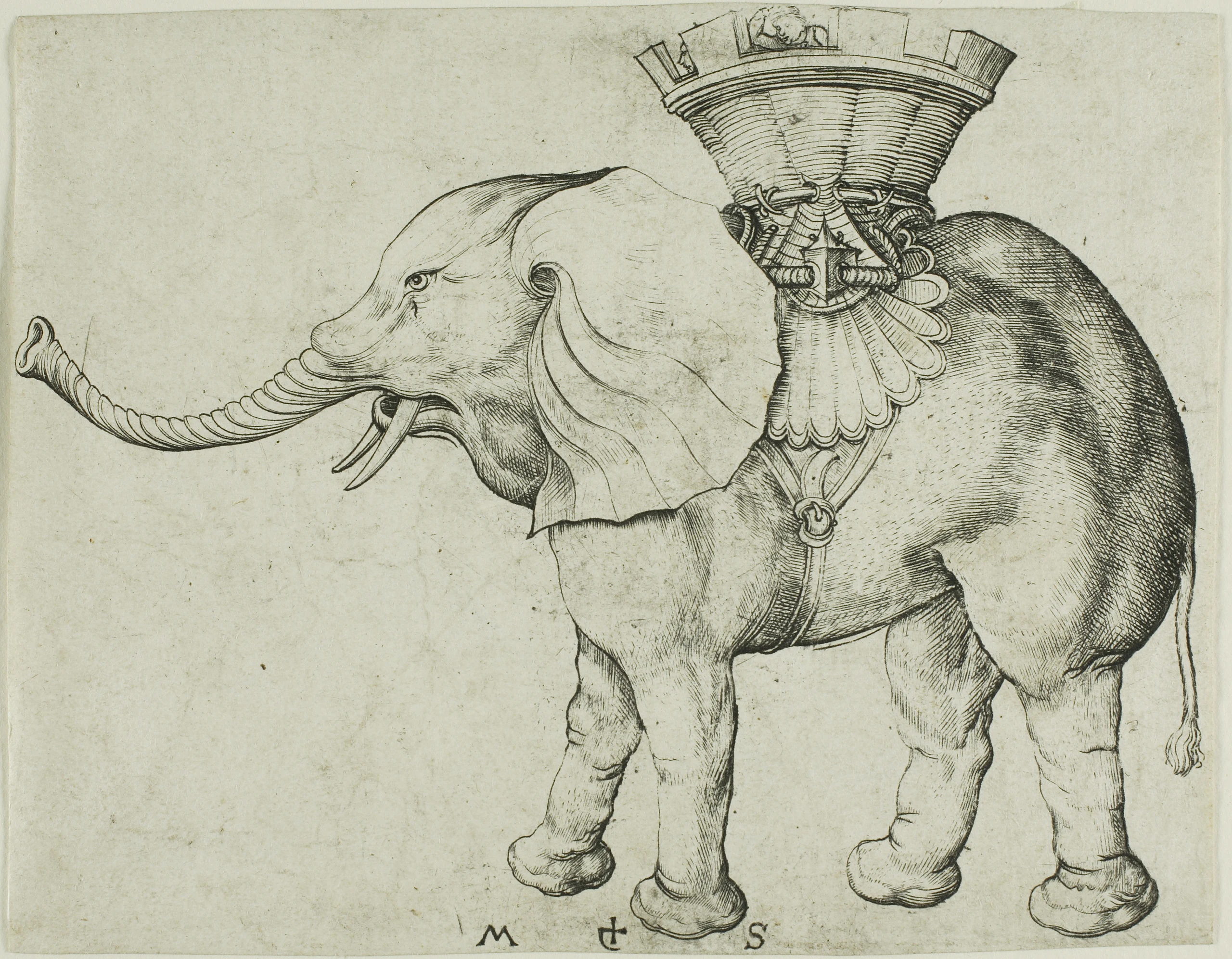 The Elephant