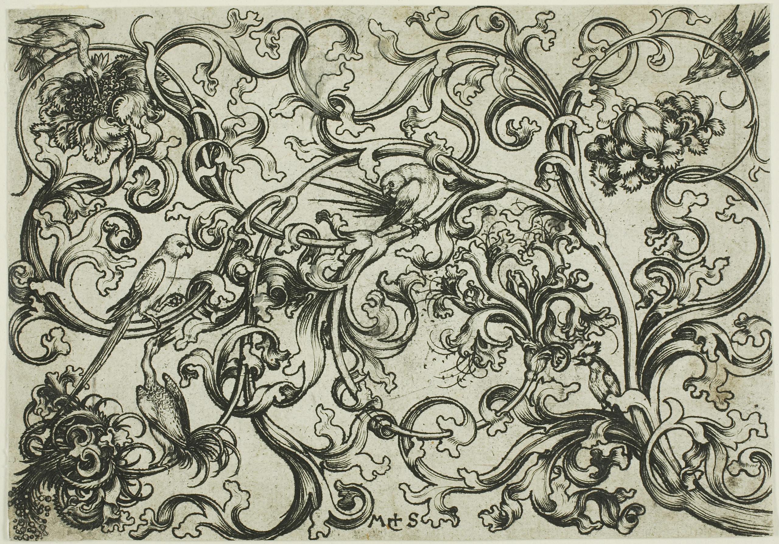 Vine Ornament with Parrots and Birds