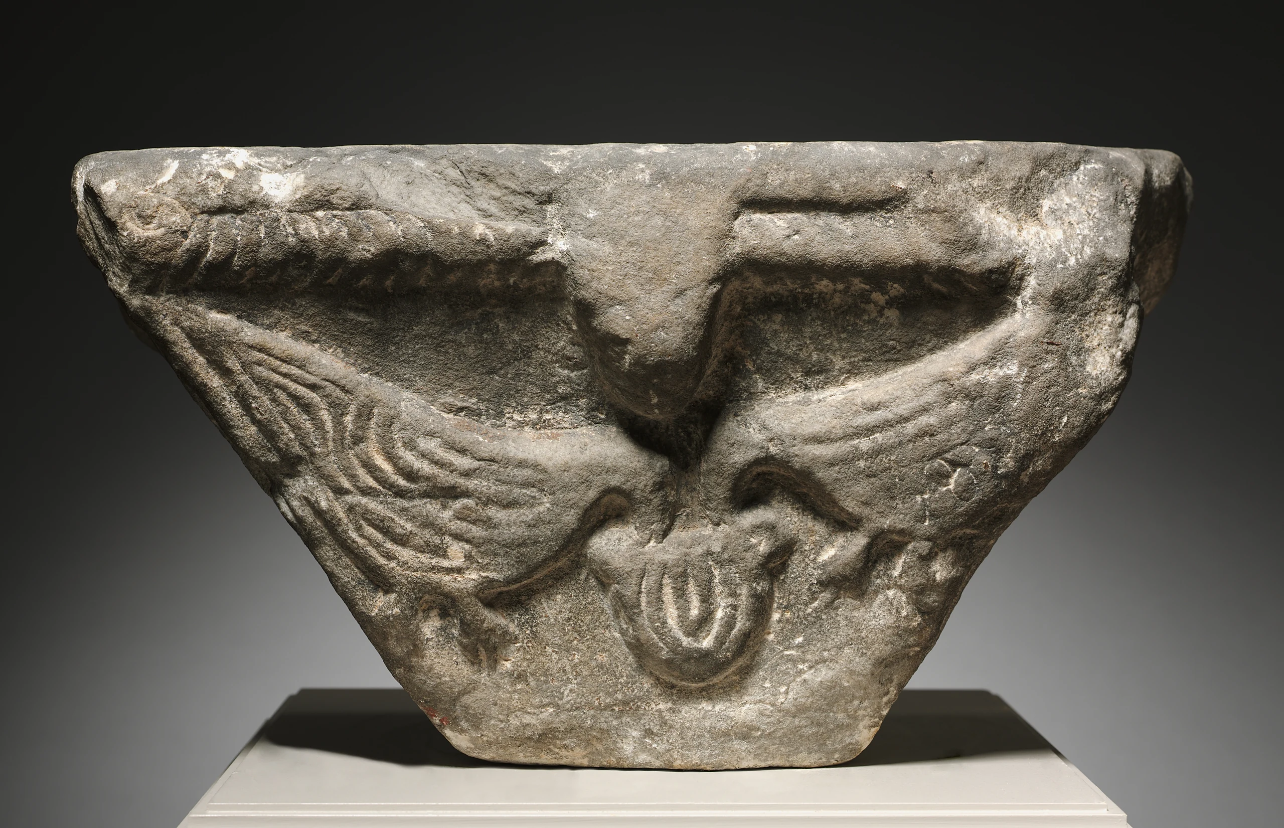 Capital with Birds