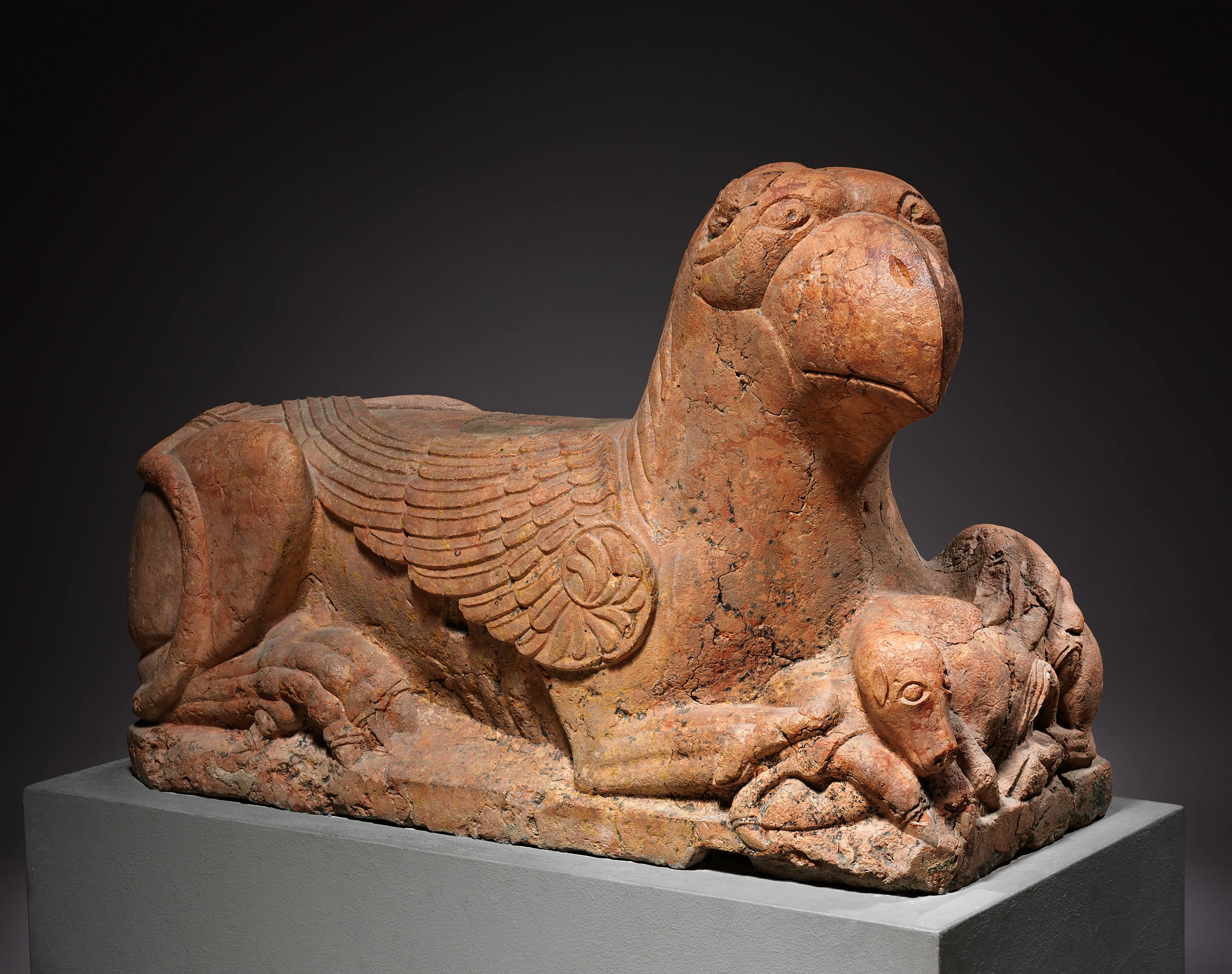 Guardian Griffin