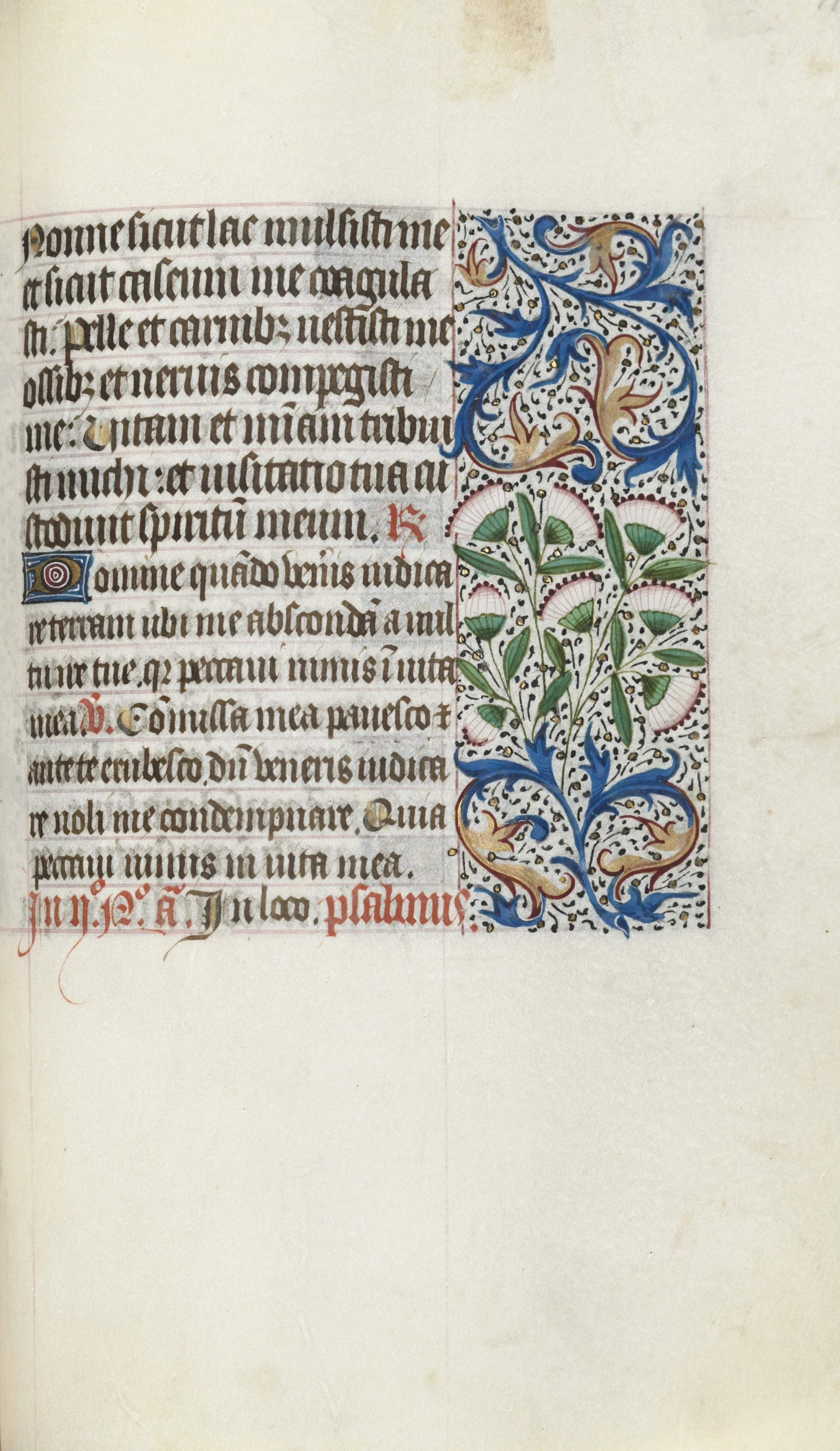 Book of Hours (Use of Rouen): fol. 117r
