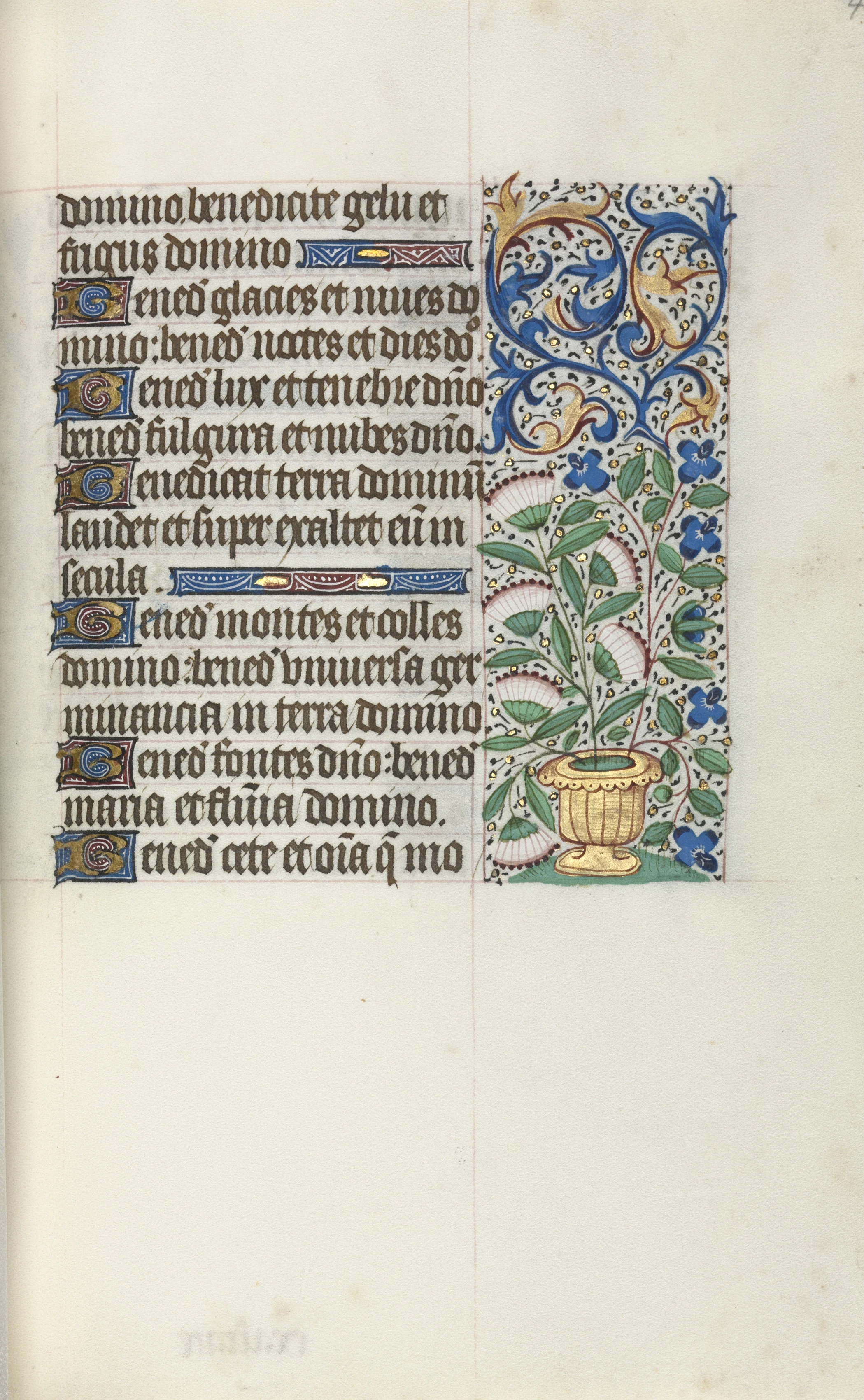 Book of Hours (Use of Rouen): fol. 43r