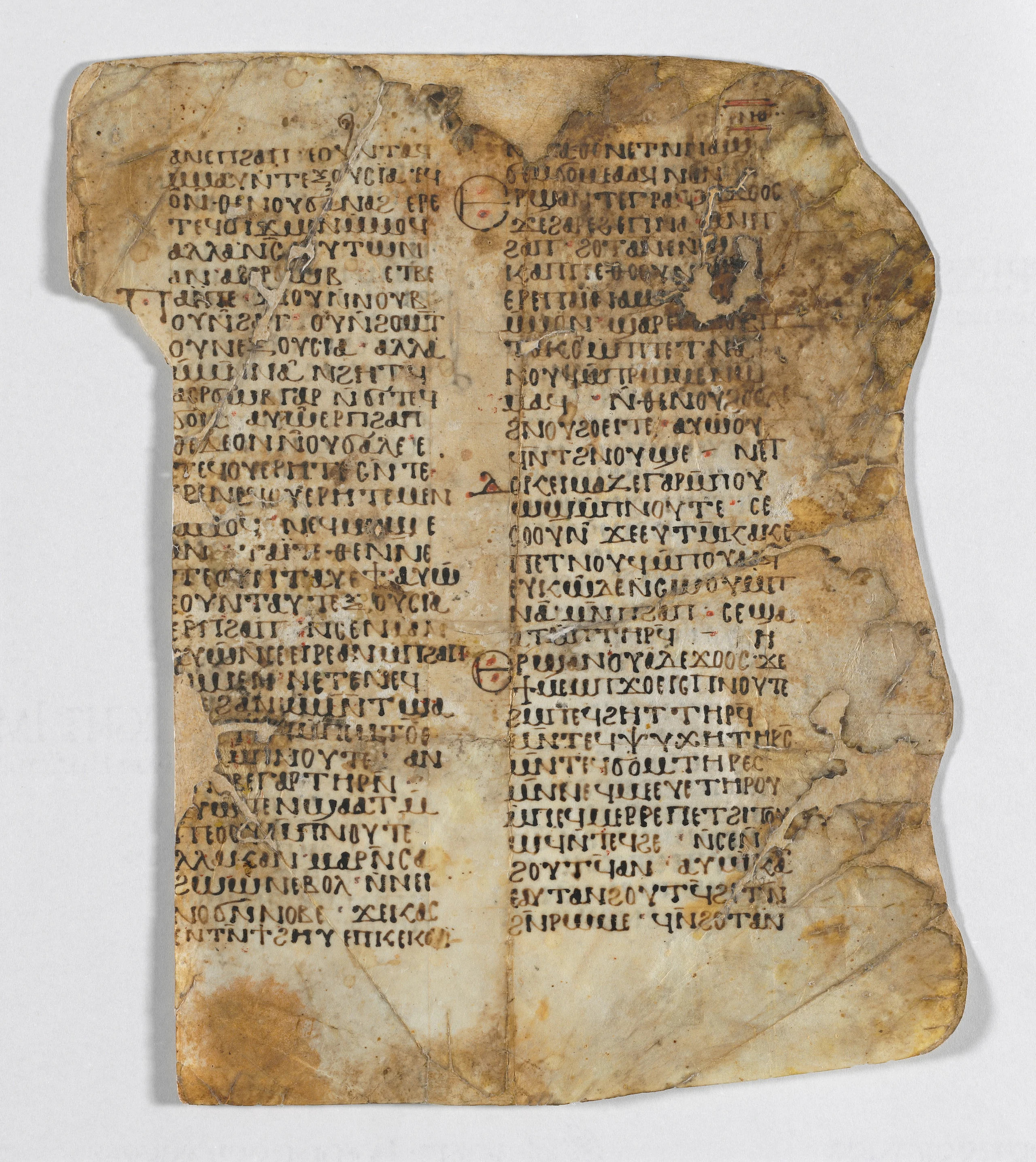 Leaves from a Christian Homily