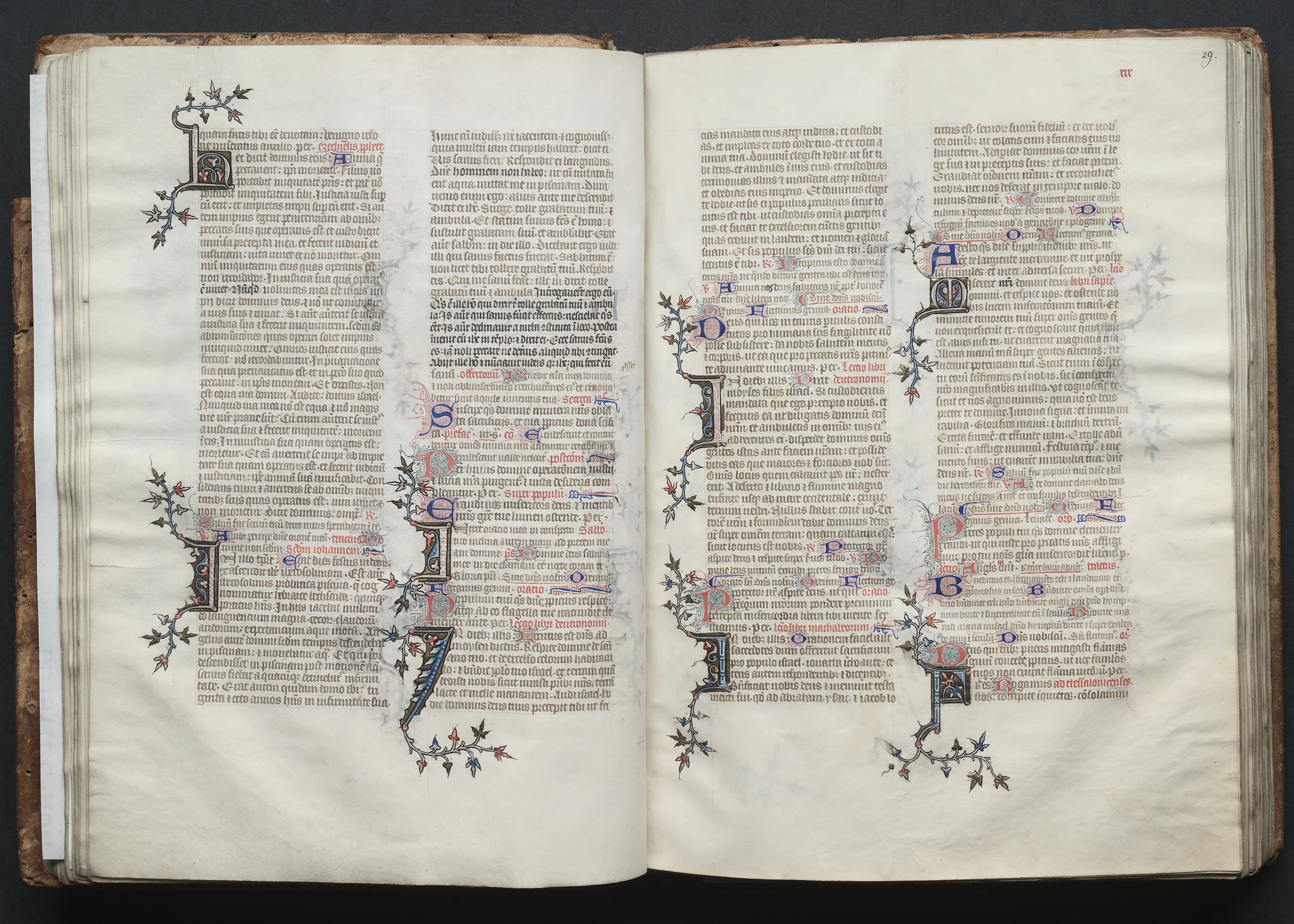 The Gotha Missal: Fol. 29r, Text