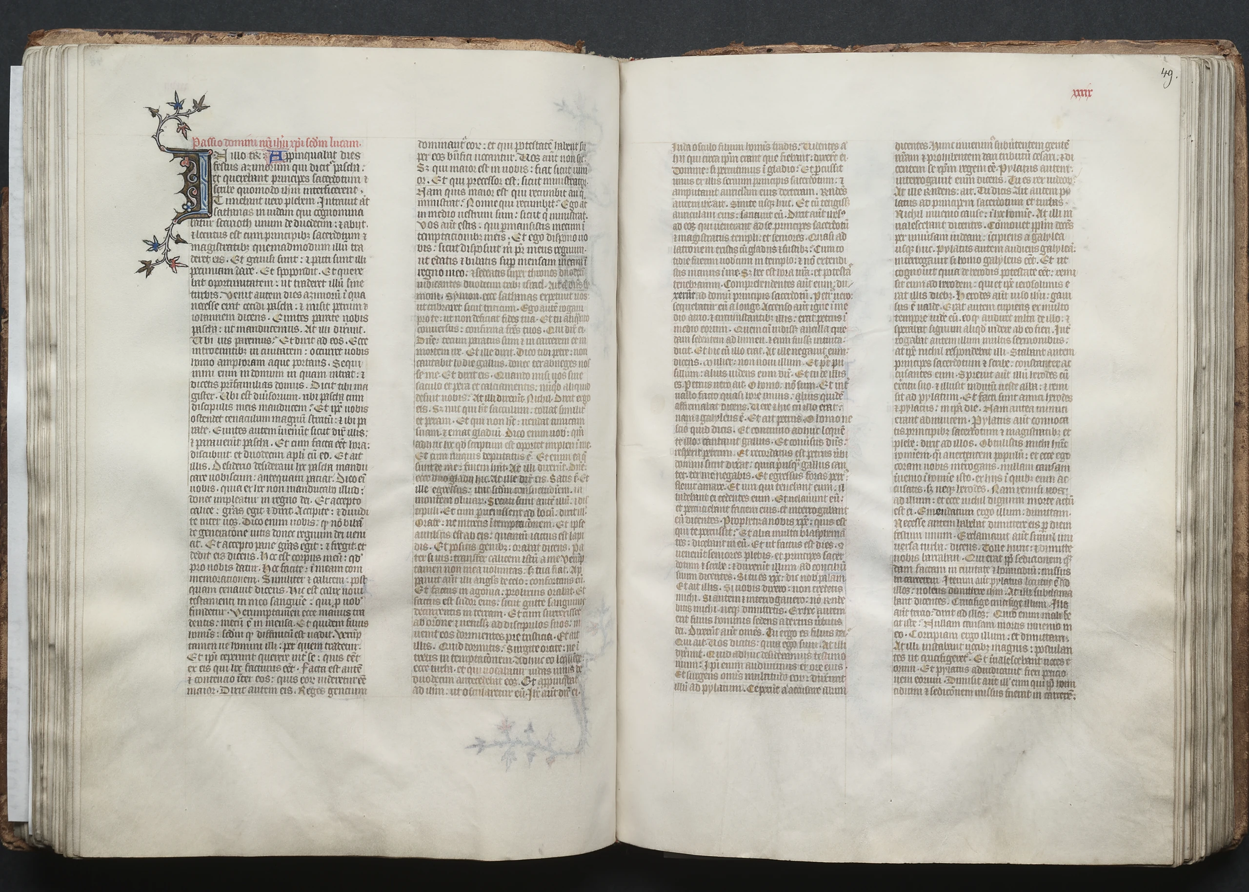 The Gotha Missal: Fol. 49r, Text