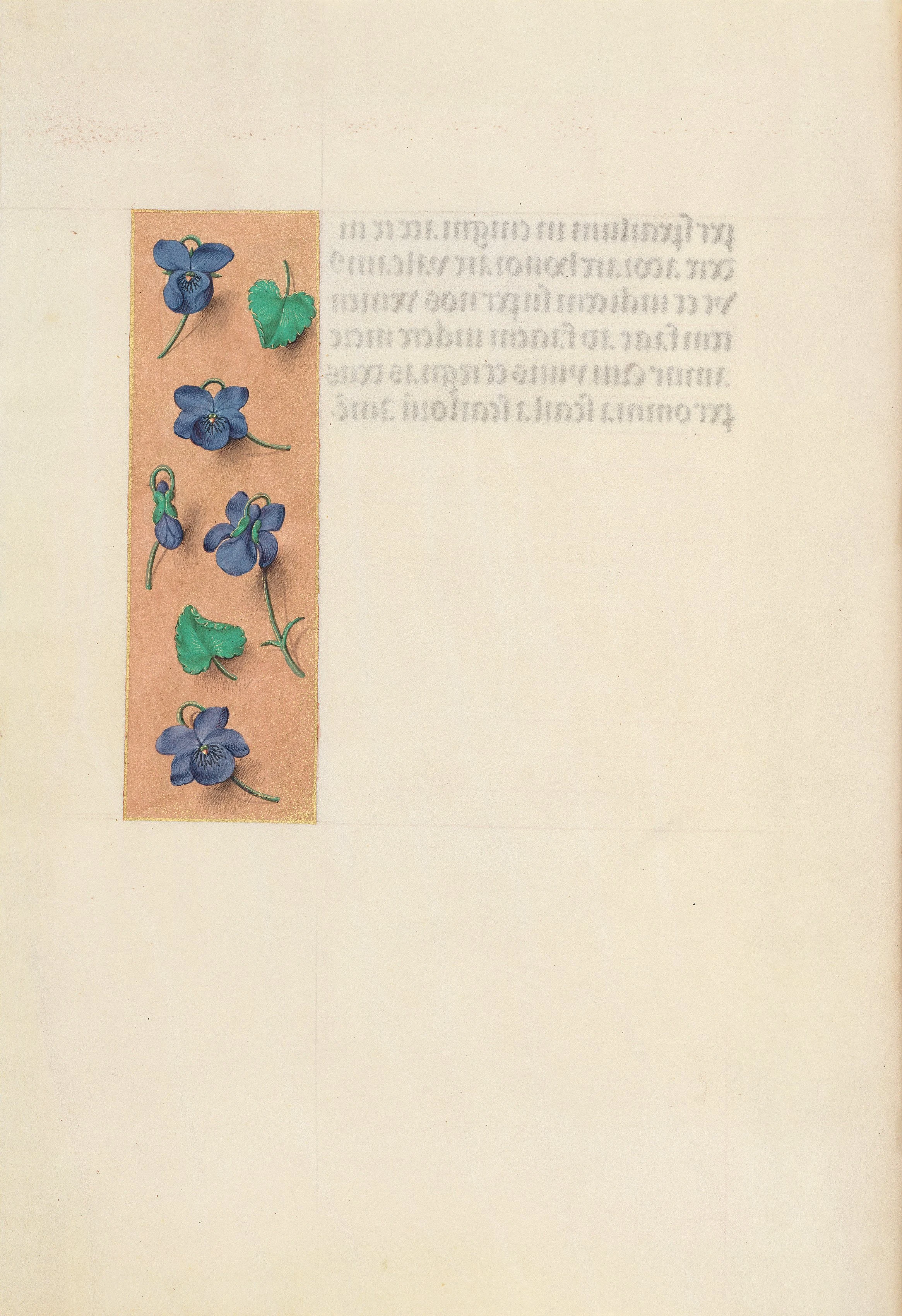 Hours of Queen Isabella the Catholic, Queen of Spain: Fol. 16v, Short Border with Strewn Violets