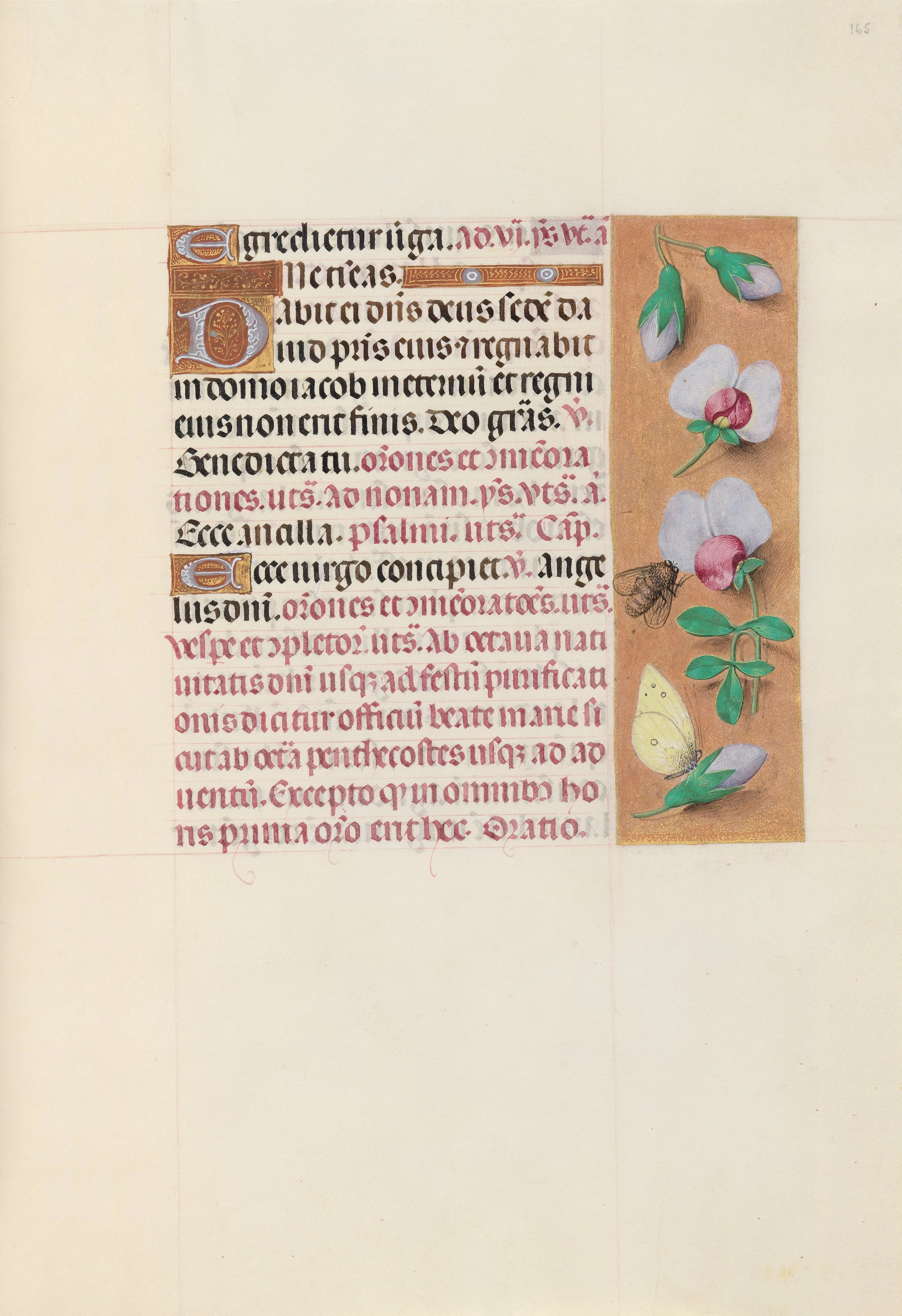 Hours of Queen Isabella the Catholic, Queen of Spain: Fol. 165r