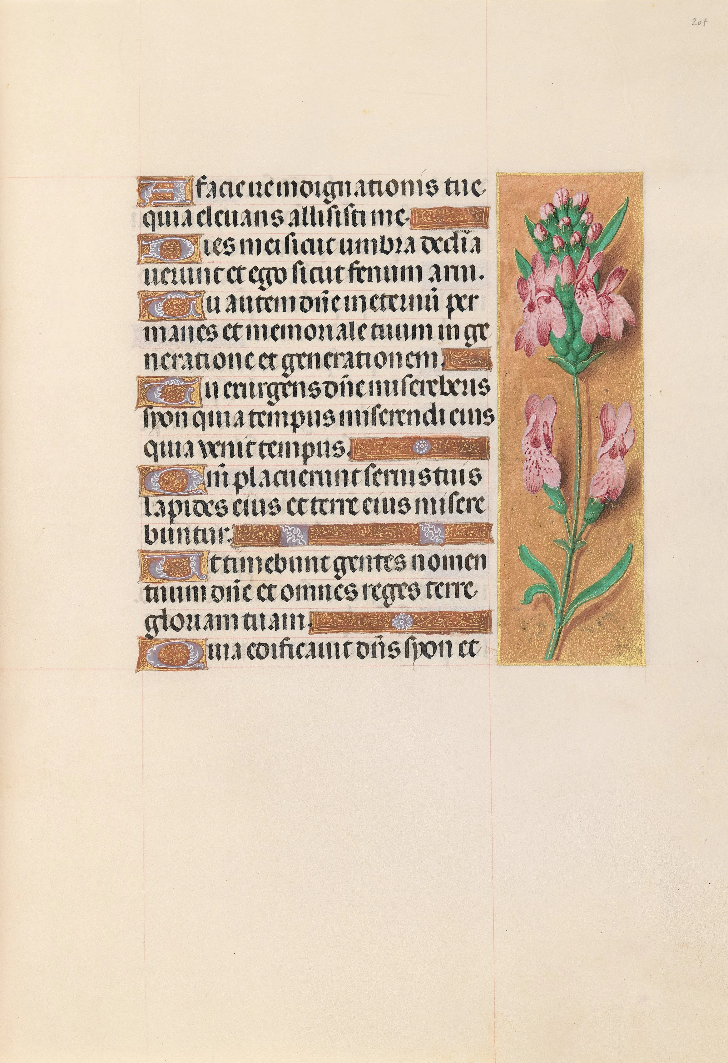 Hours of Queen Isabella the Catholic, Queen of Spain: Fol. 207r