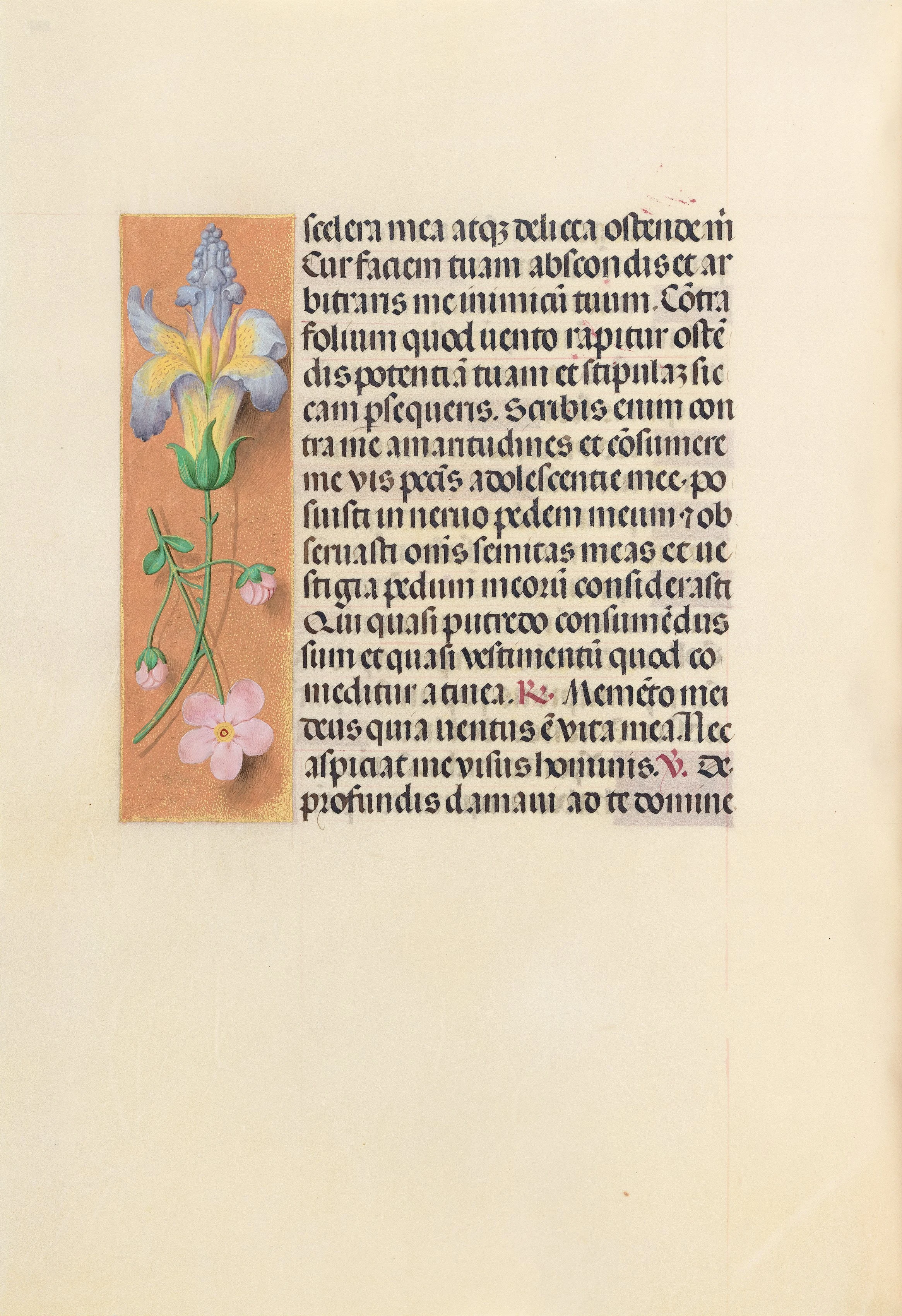 Hours of Queen Isabella the Catholic, Queen of Spain: Fol. 237v