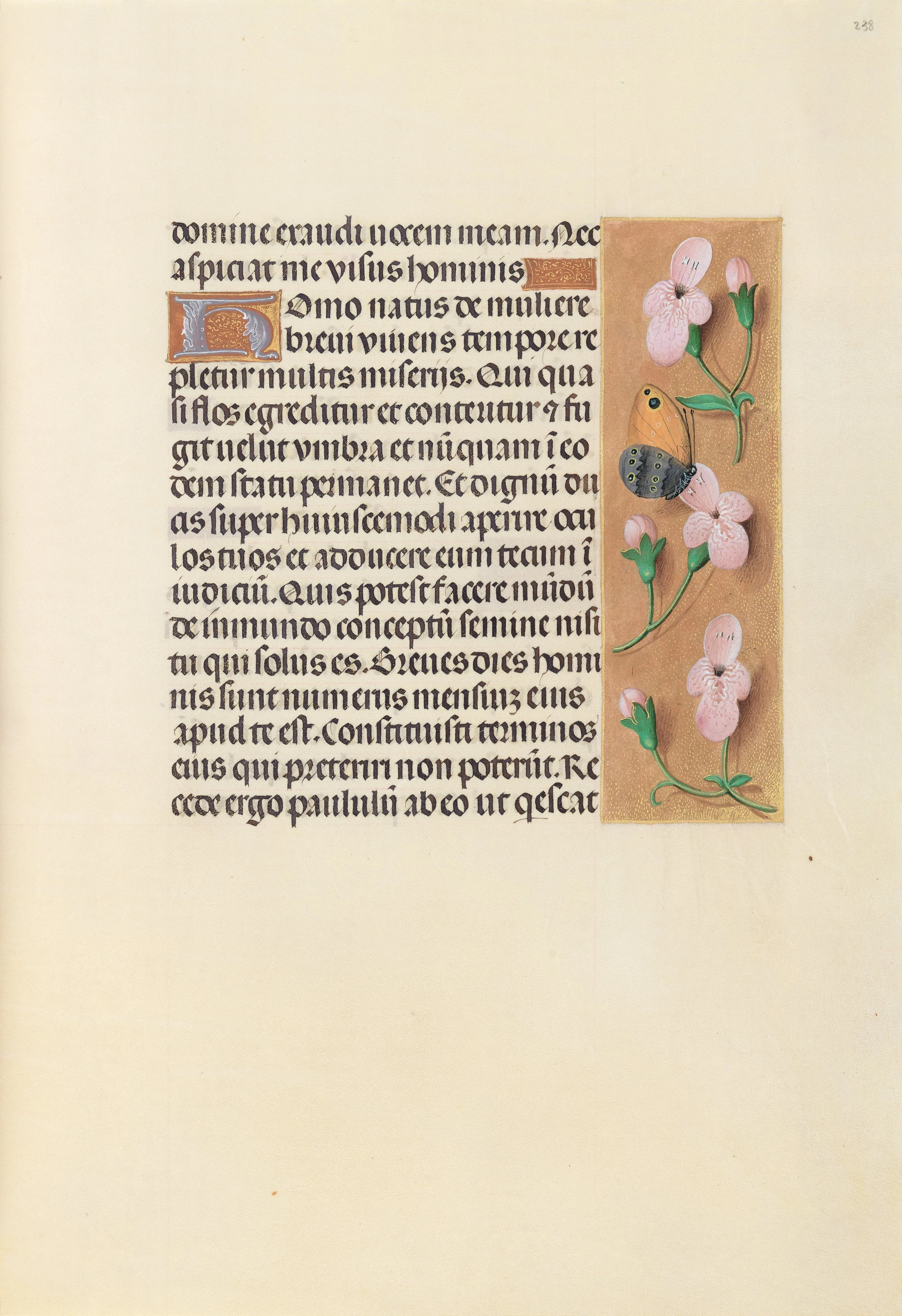 Hours of Queen Isabella the Catholic, Queen of Spain: Fol. 238r