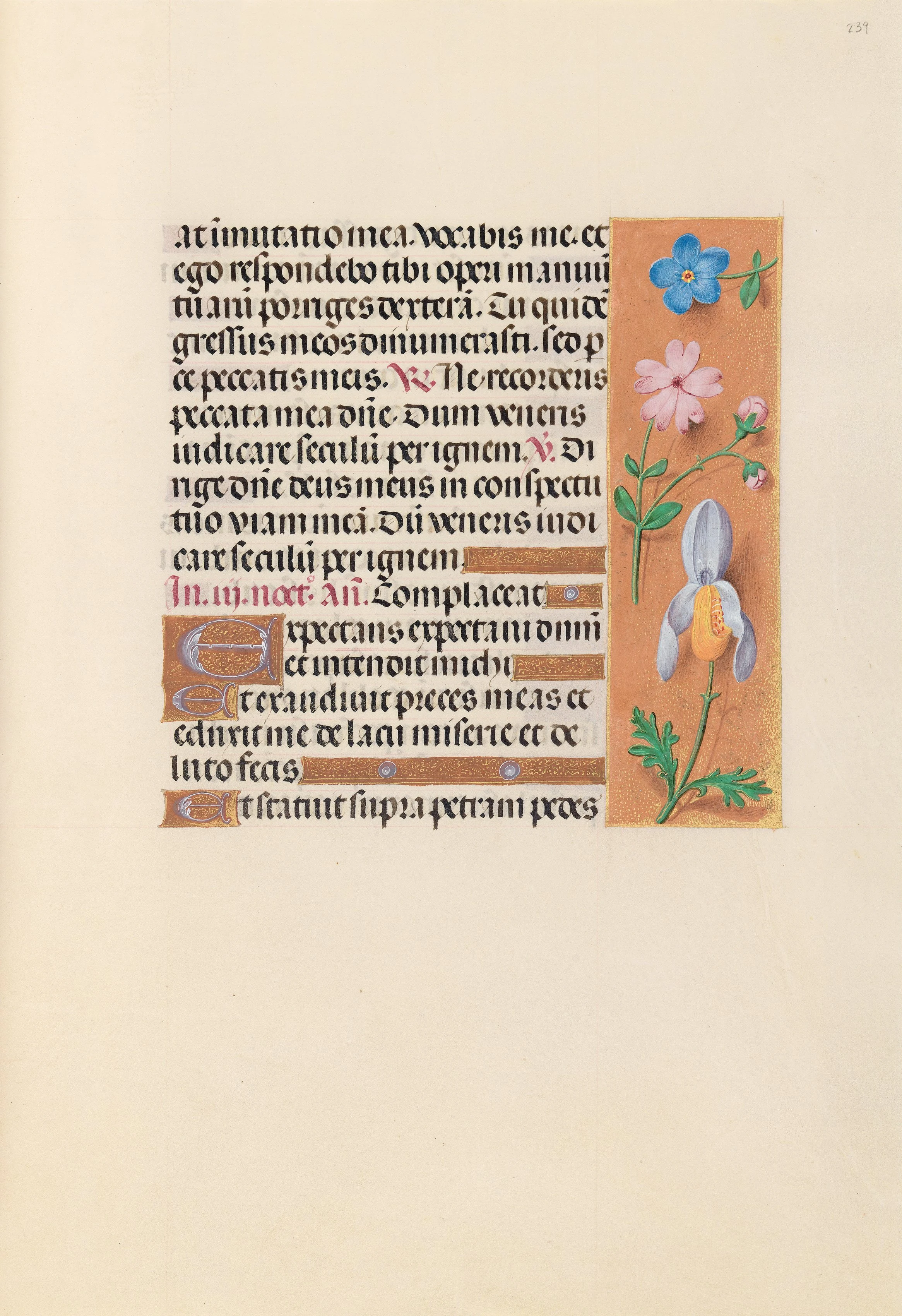 Hours of Queen Isabella the Catholic, Queen of Spain: Fol. 239r