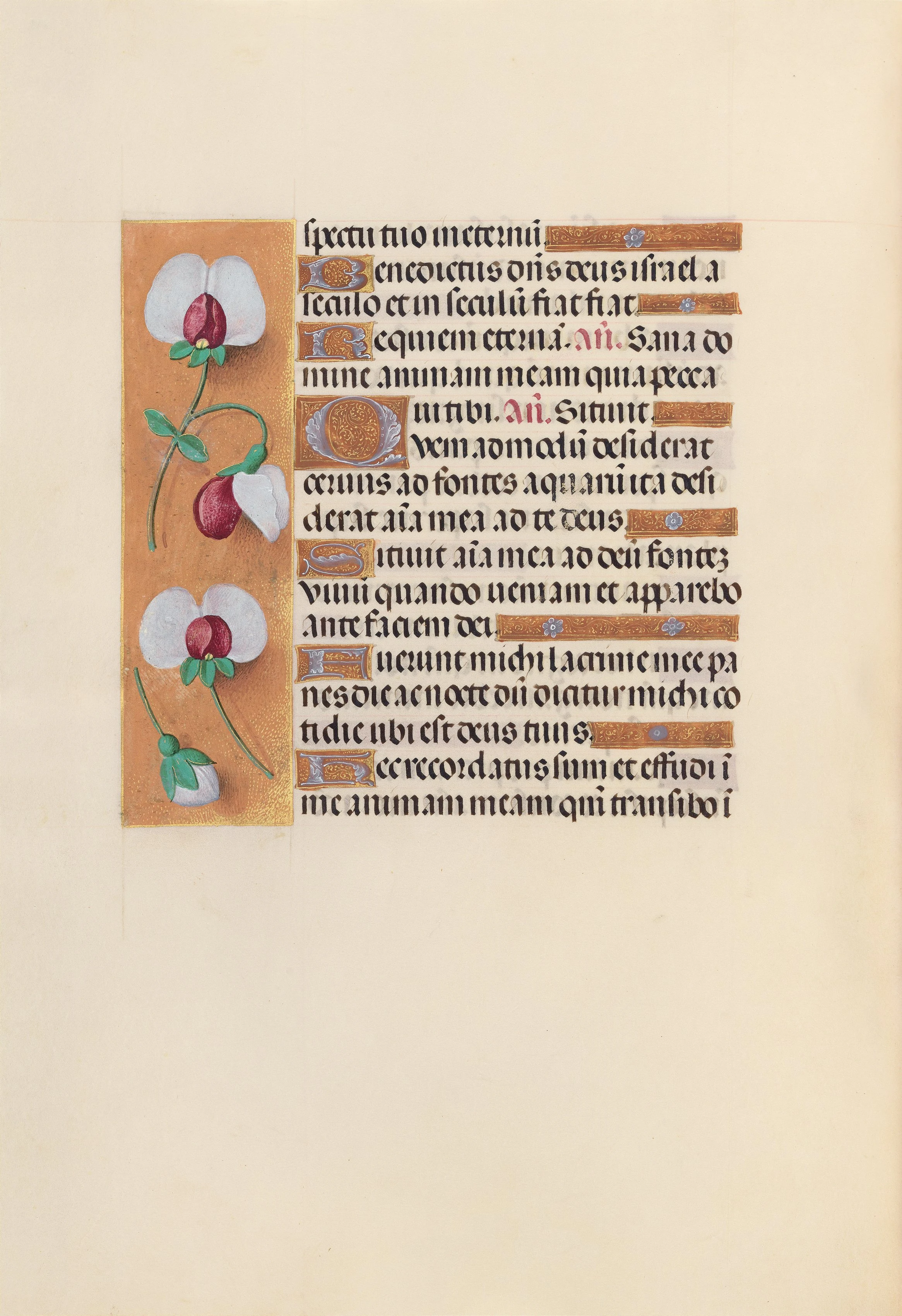Hours of Queen Isabella the Catholic, Queen of Spain: Fol. 242v