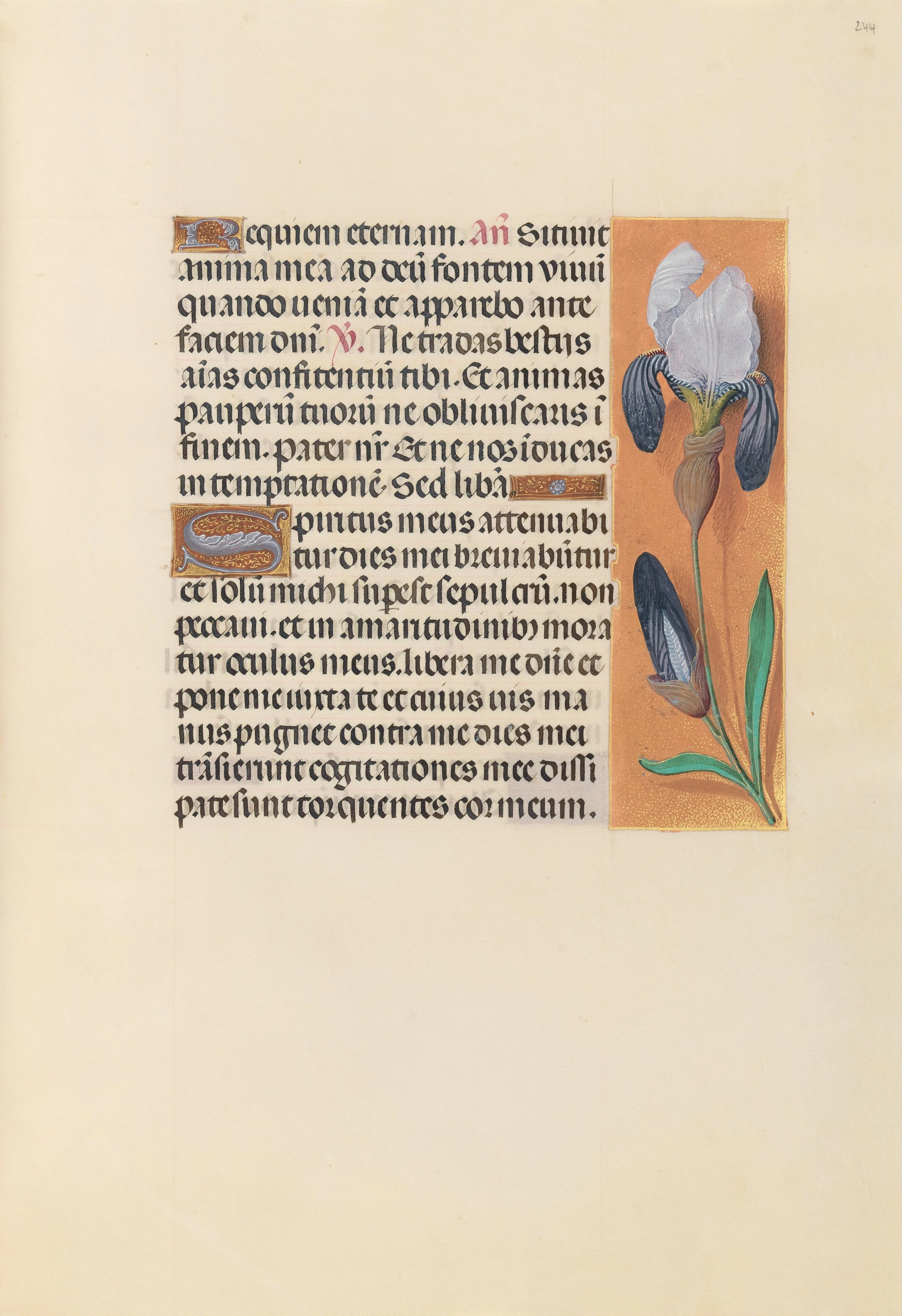 Hours of Queen Isabella the Catholic, Queen of Spain: Fol. 244r