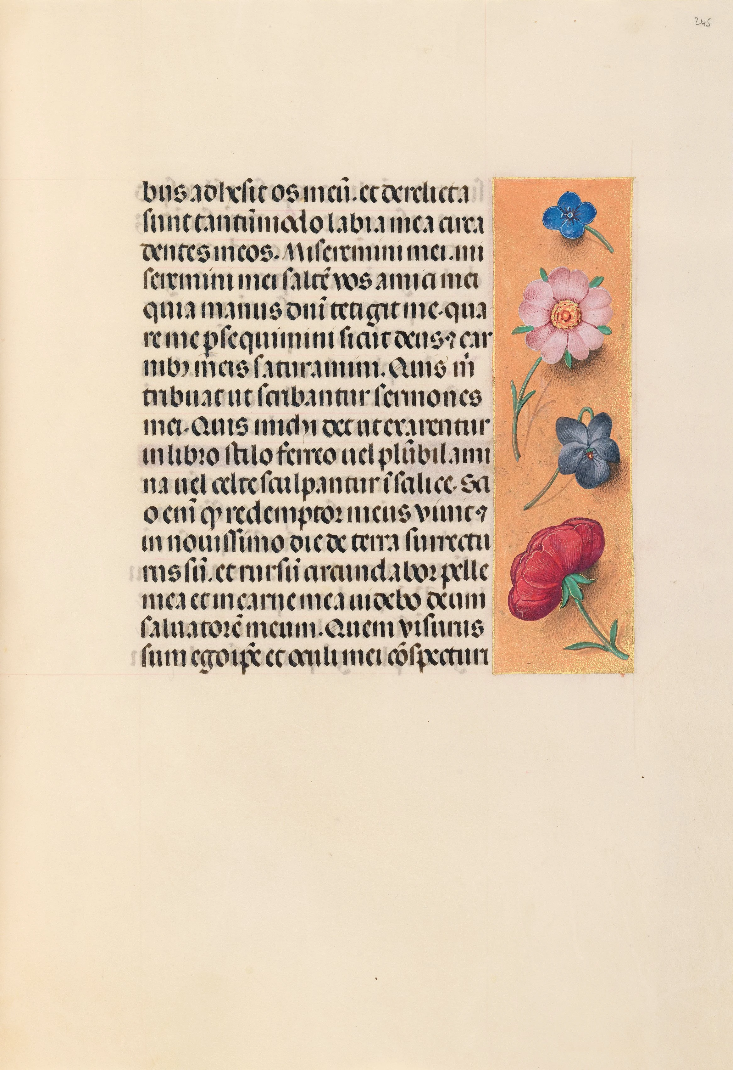 Hours of Queen Isabella the Catholic, Queen of Spain: Fol. 245r
