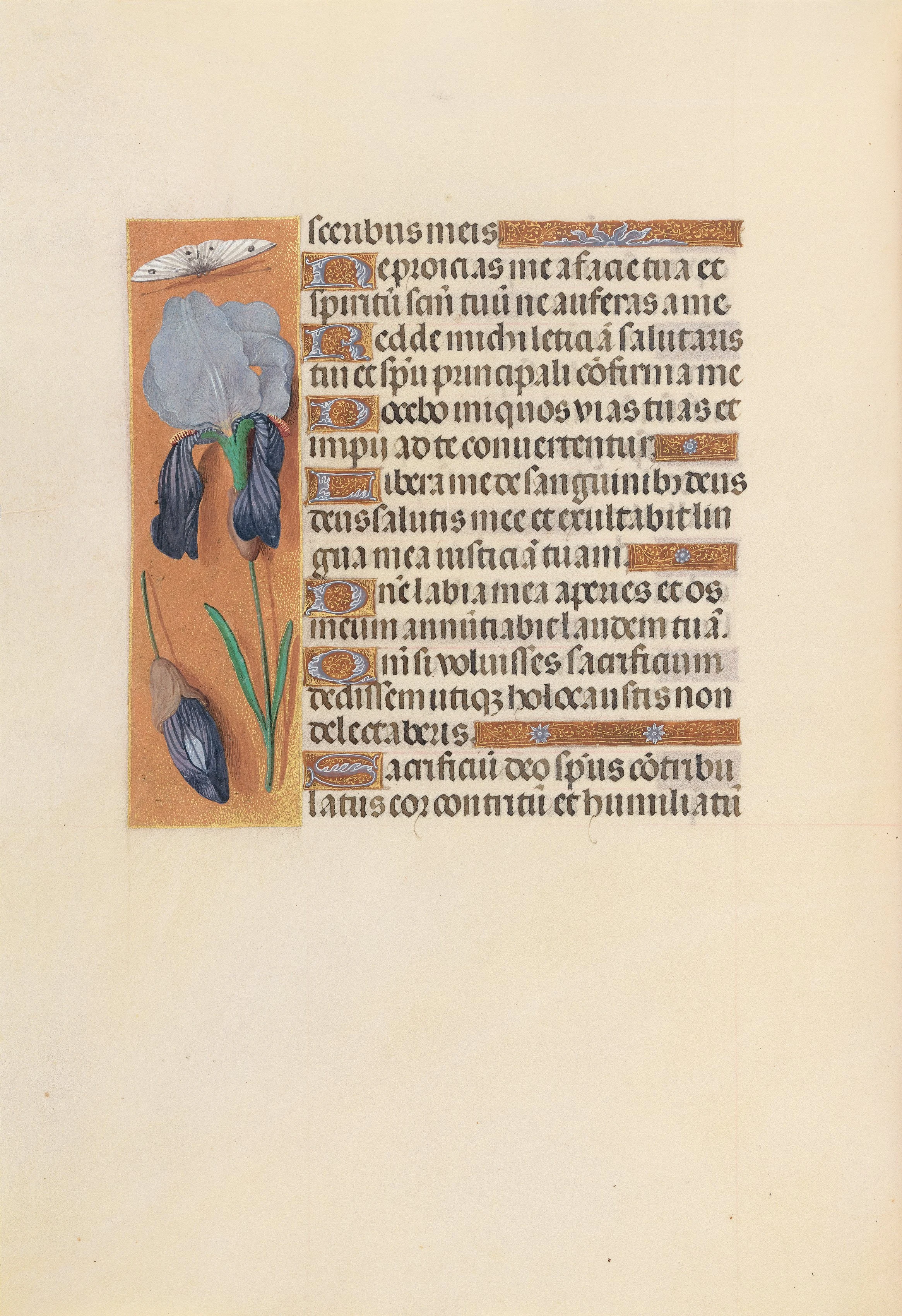 Hours of Queen Isabella the Catholic, Queen of Spain: Fol. 247v