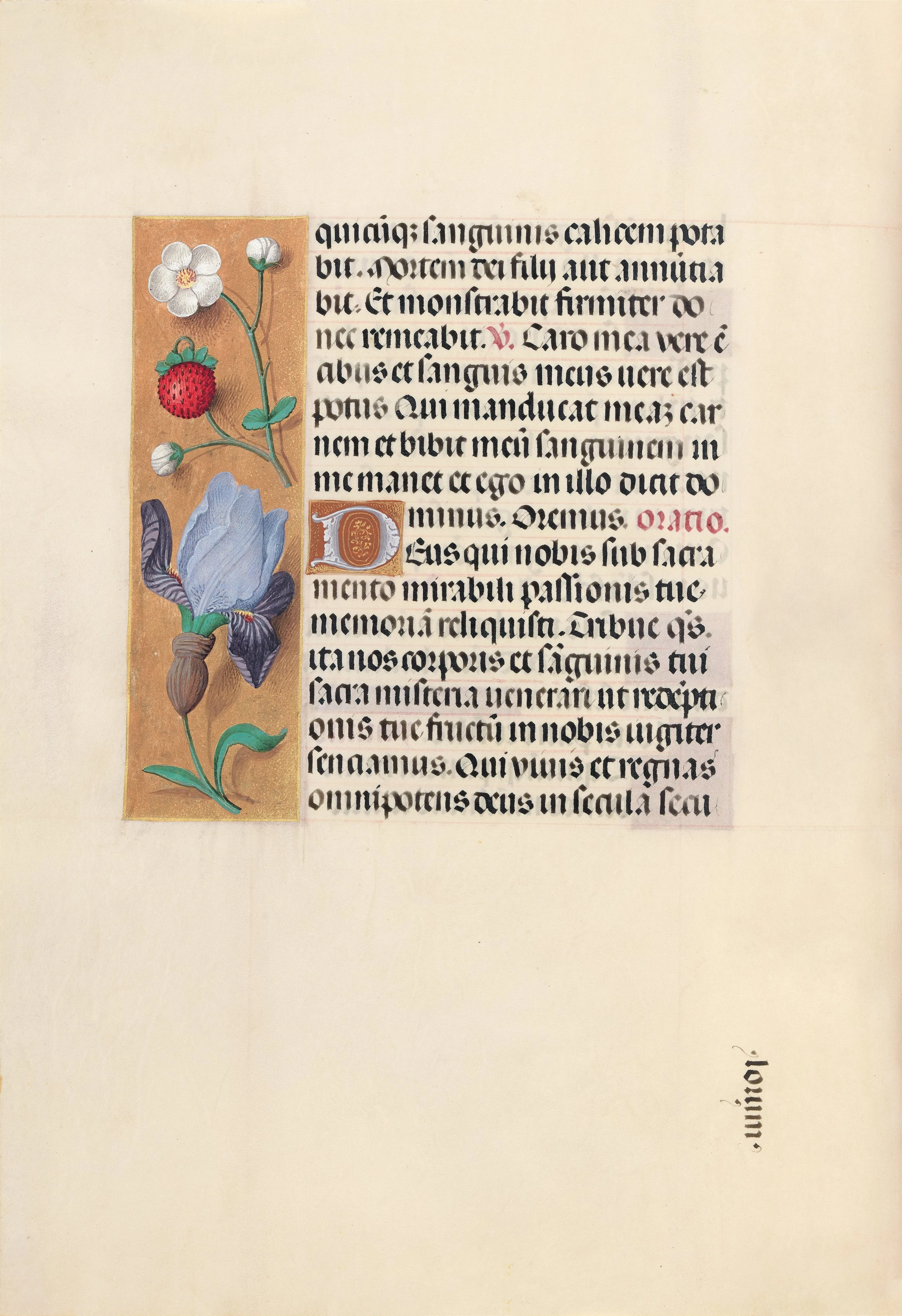 Hours of Queen Isabella the Catholic, Queen of Spain: Fol. 46v