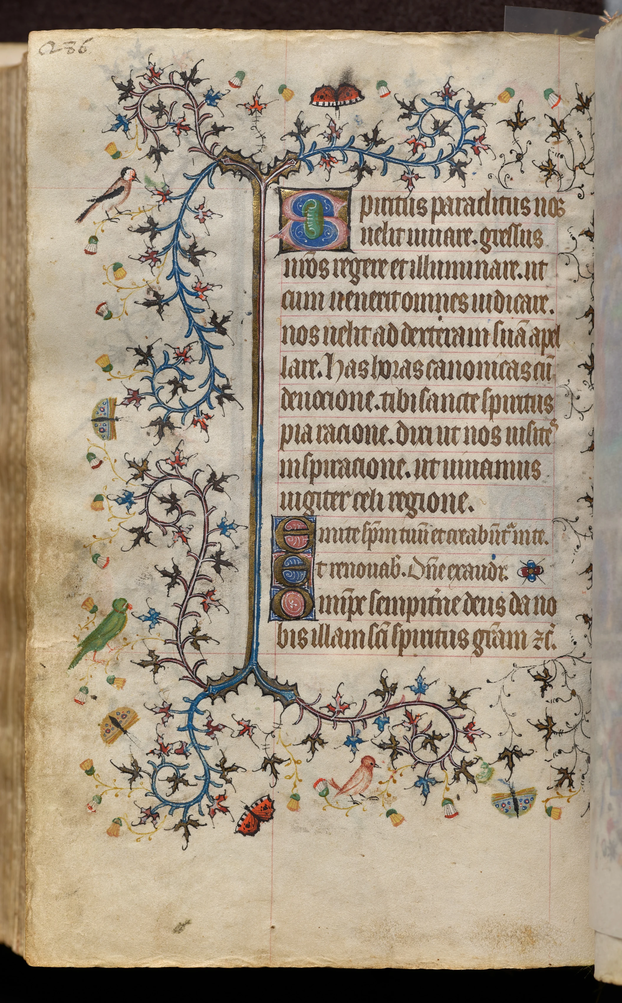 Hours of Charles the Noble, King of Navarre (1361-1425): fol. 143v, Text
