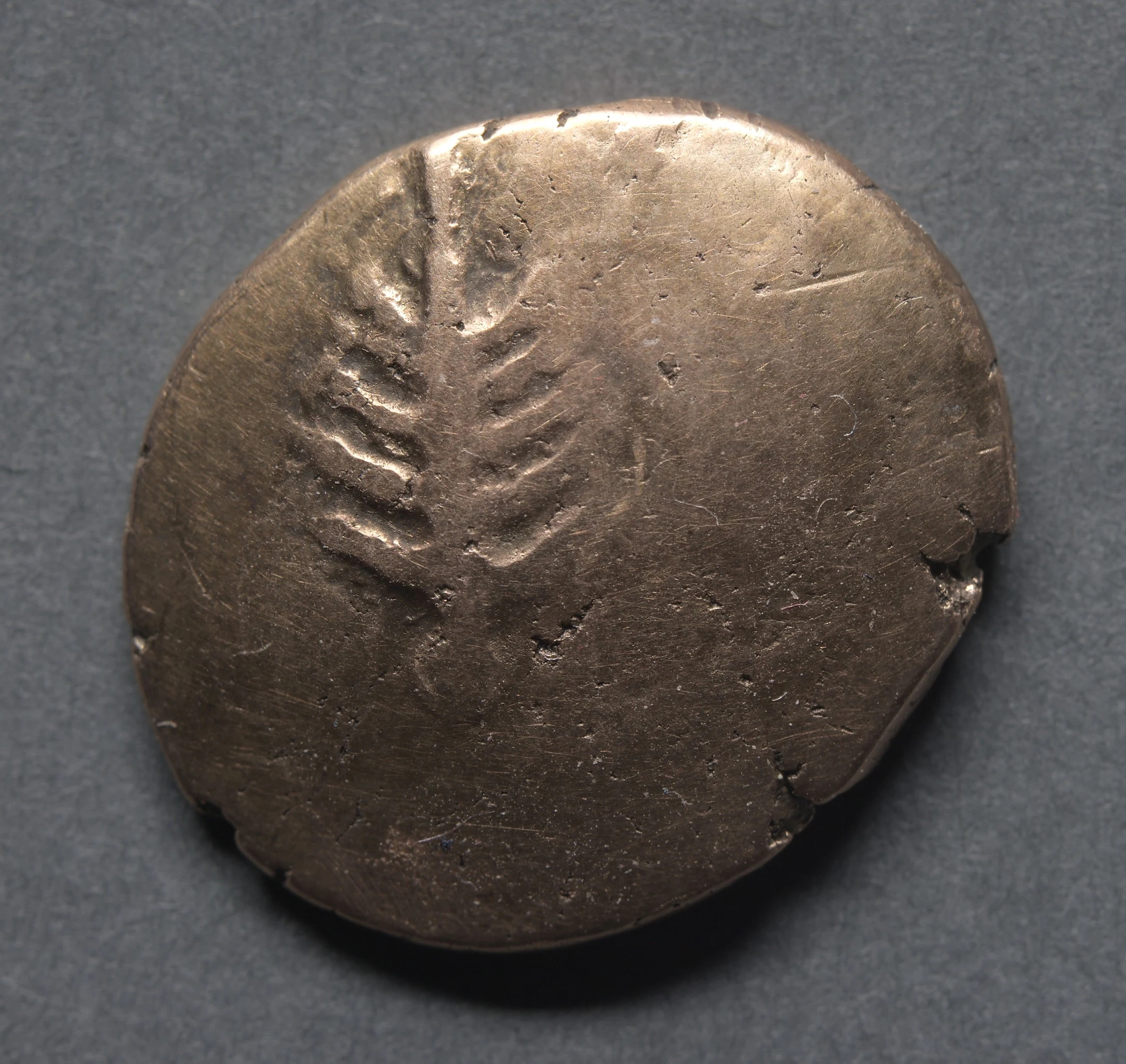 Catti Stater: Horse and Wheel (reverse)