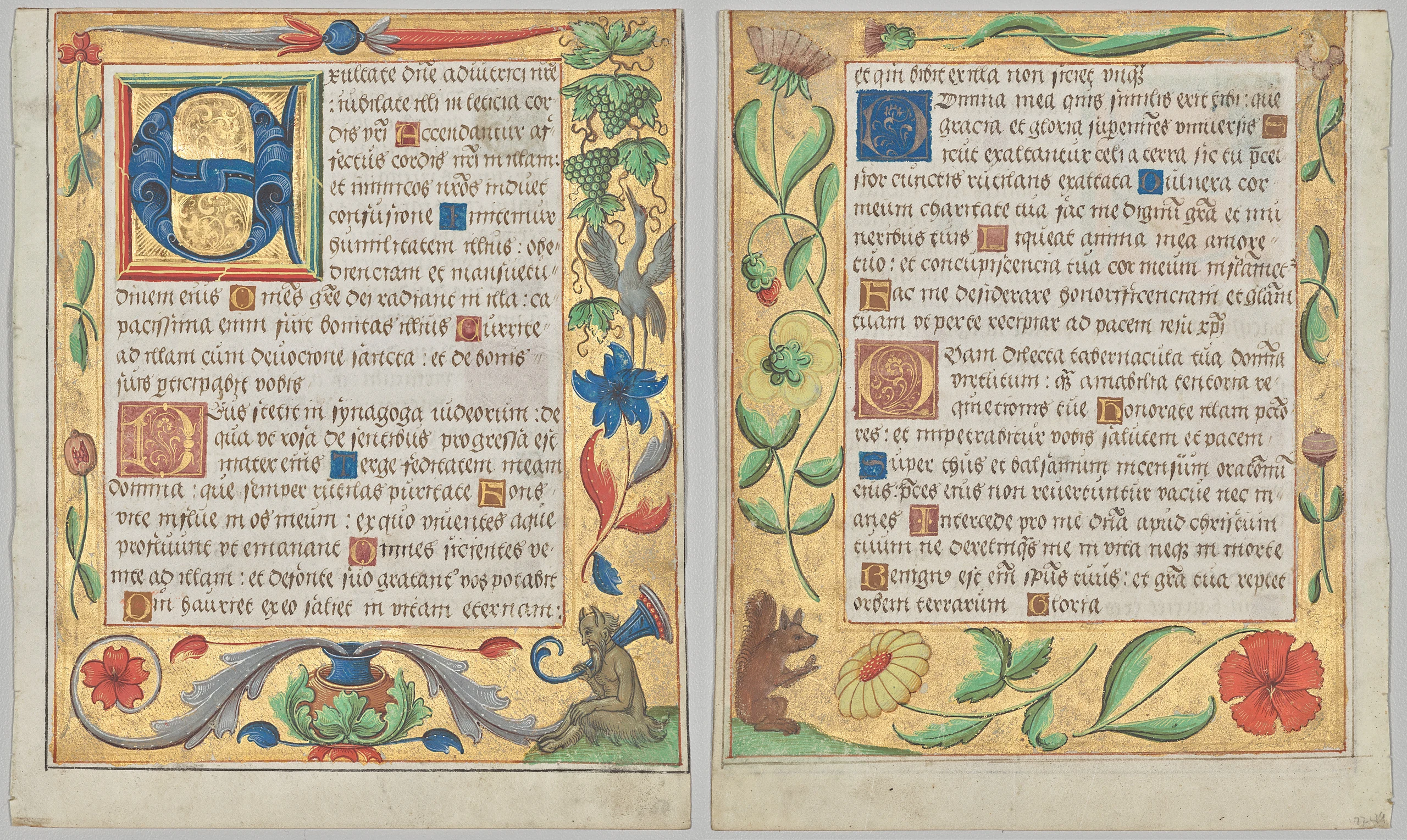 Leaf from a Psalter and Prayerbook: Initial E with Ornamental Border Containing a Seated Satyr and a Bird Eating Grapes (recto) and Ornamental Border with Flowers and Squirrel (verso) (2 of 3 Excised Leaves)