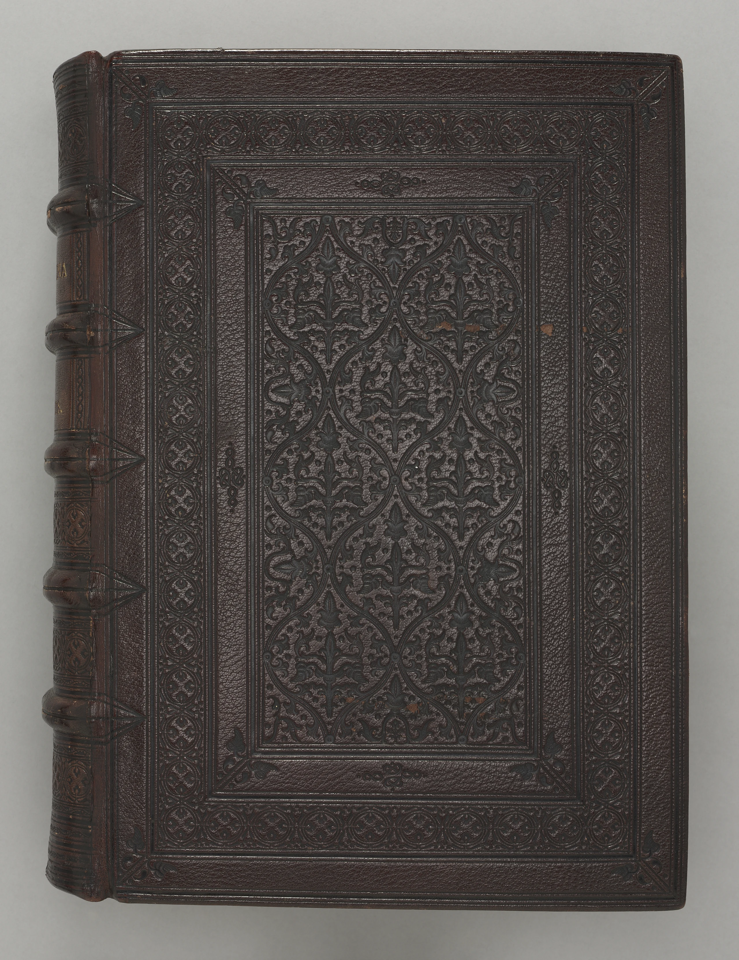 Gothic Bible (Vulgate)